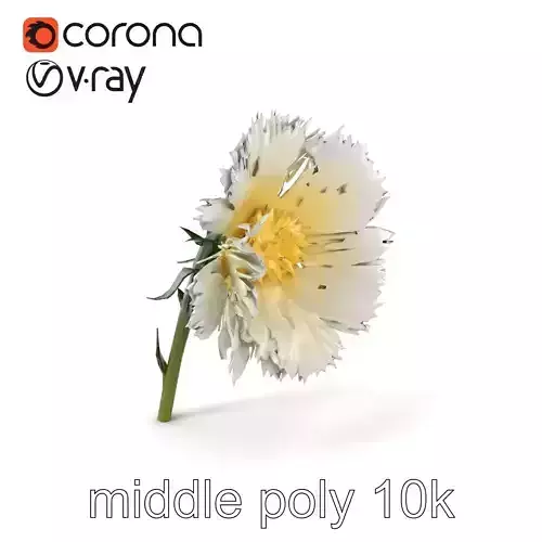 White Cornflower Realistic Floral Model Pack Low-poly 3D model
