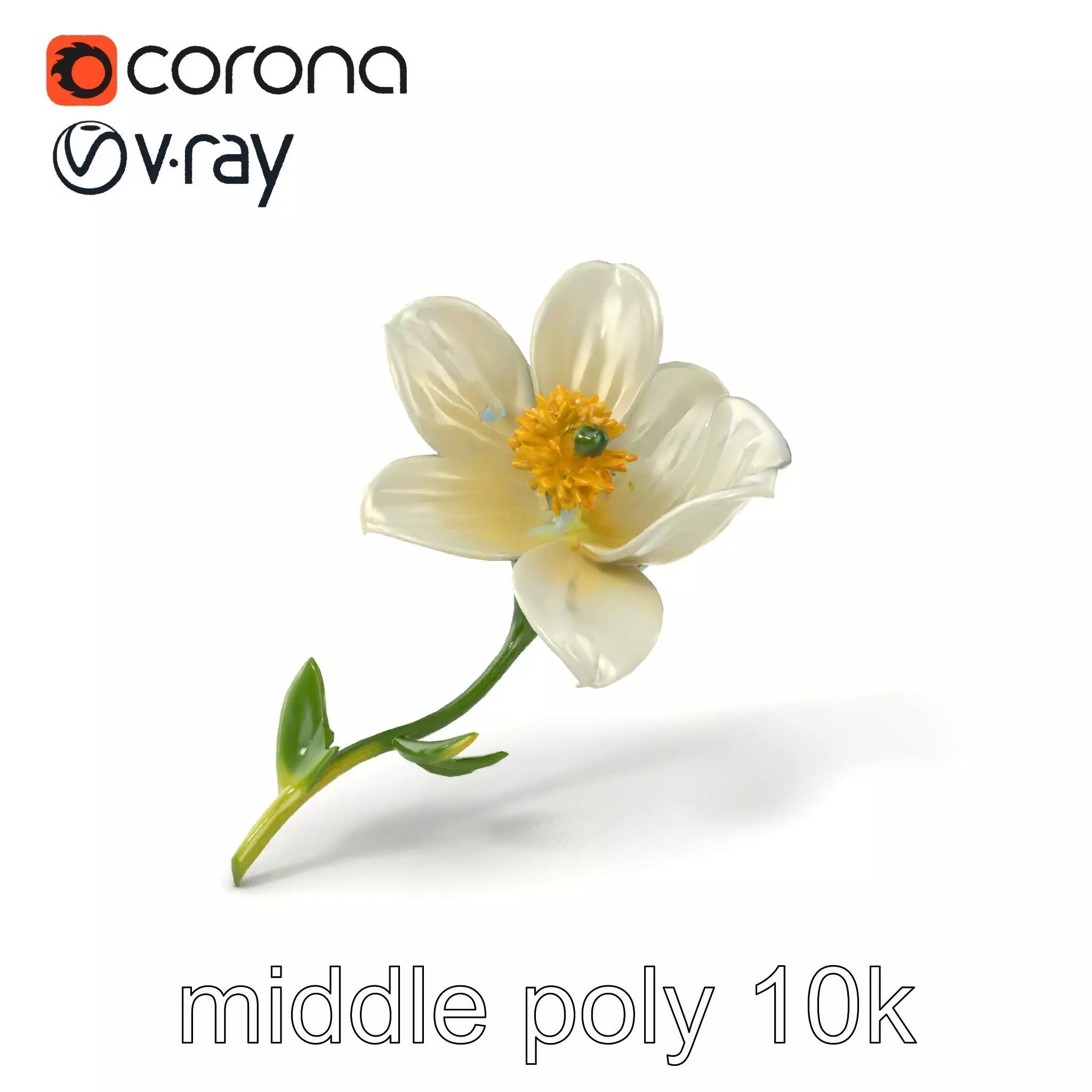 Elegant White Petal Flower 3D Model Pack Low-poly 3D model_0