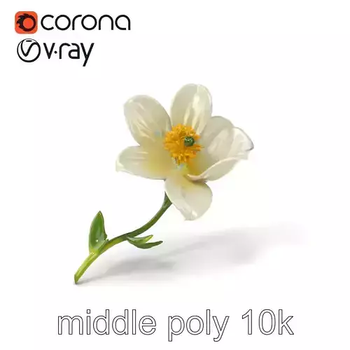 Elegant White Petal Flower 3D Model Pack Low-poly 3D model