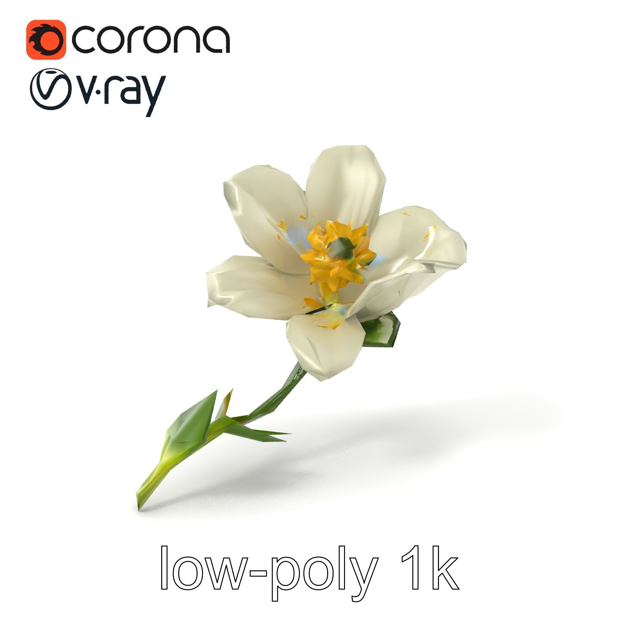 Elegant White Petal Flower 3D Model Pack Low-poly 3D model_5