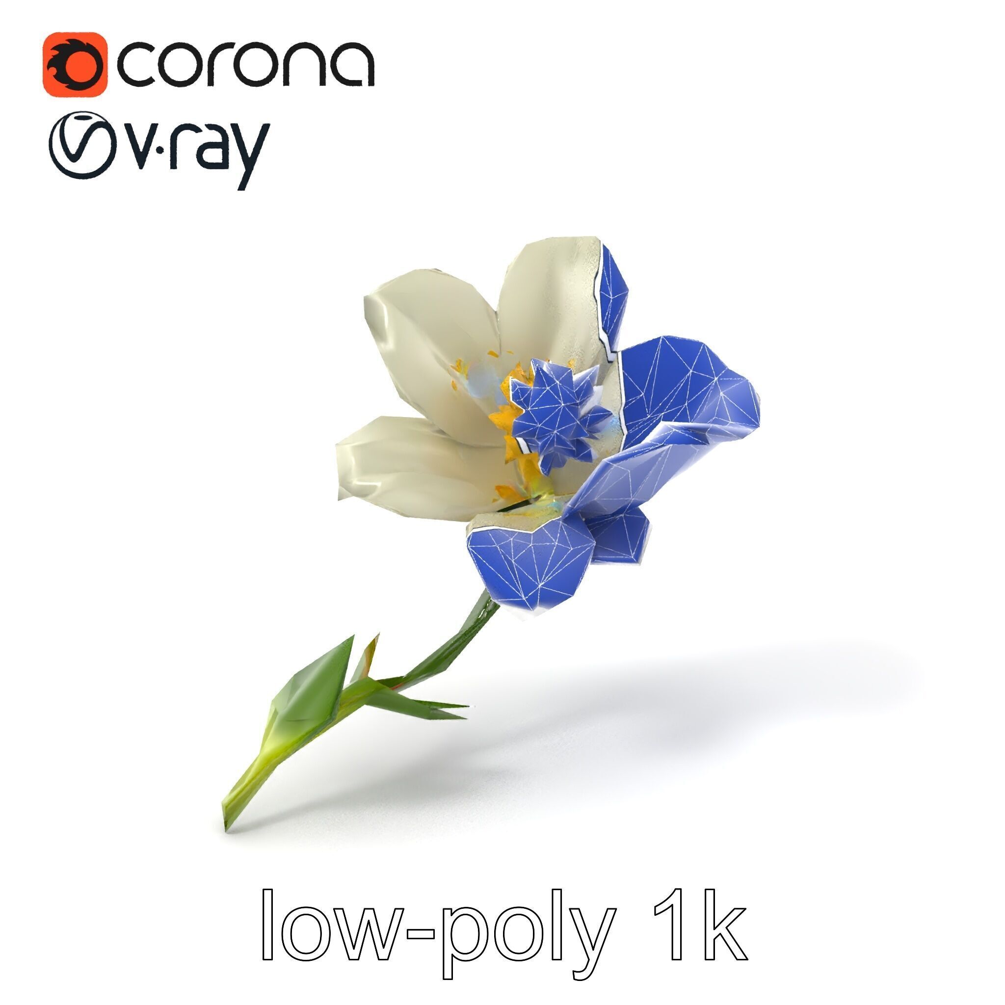 Elegant White Petal Flower 3D Model Pack Low-poly 3D model_7