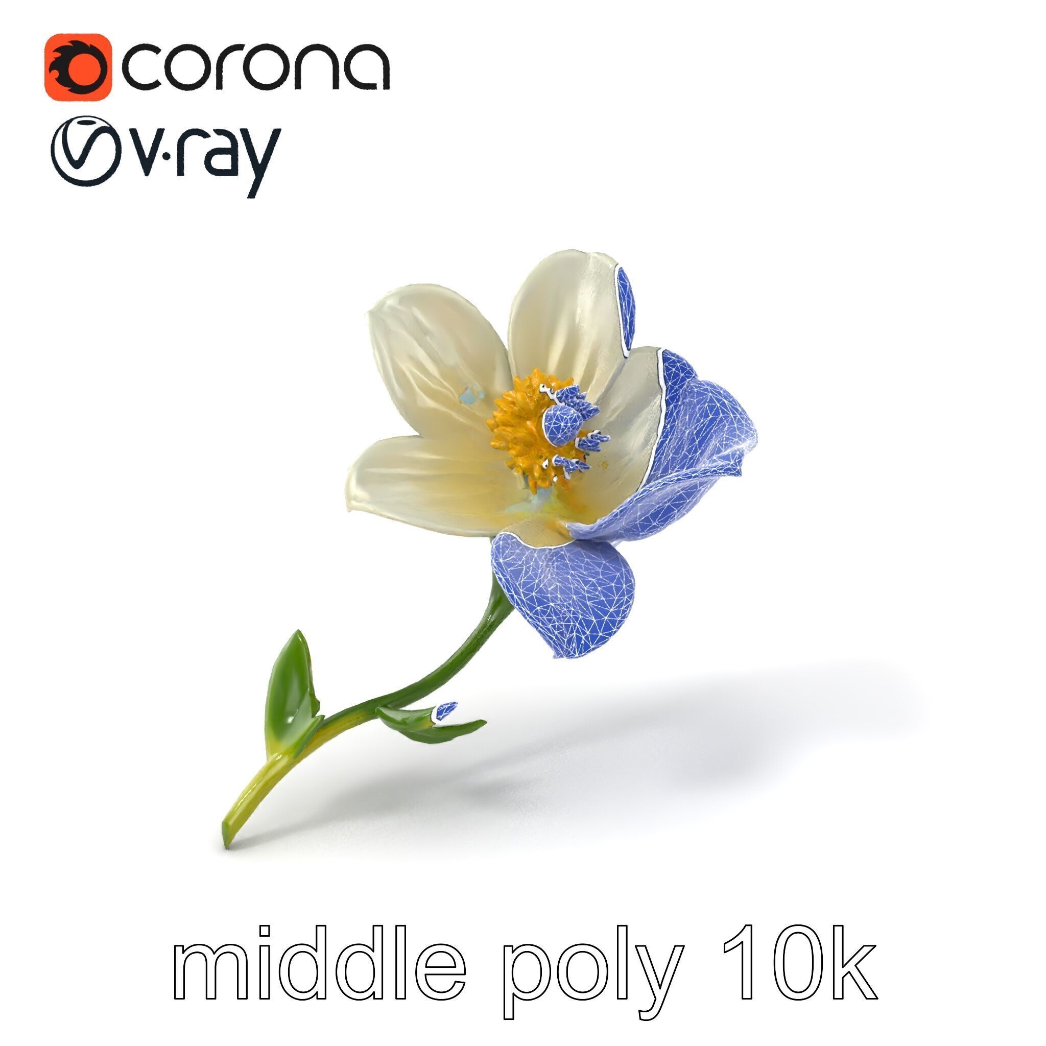 Elegant White Petal Flower 3D Model Pack Low-poly 3D model_6