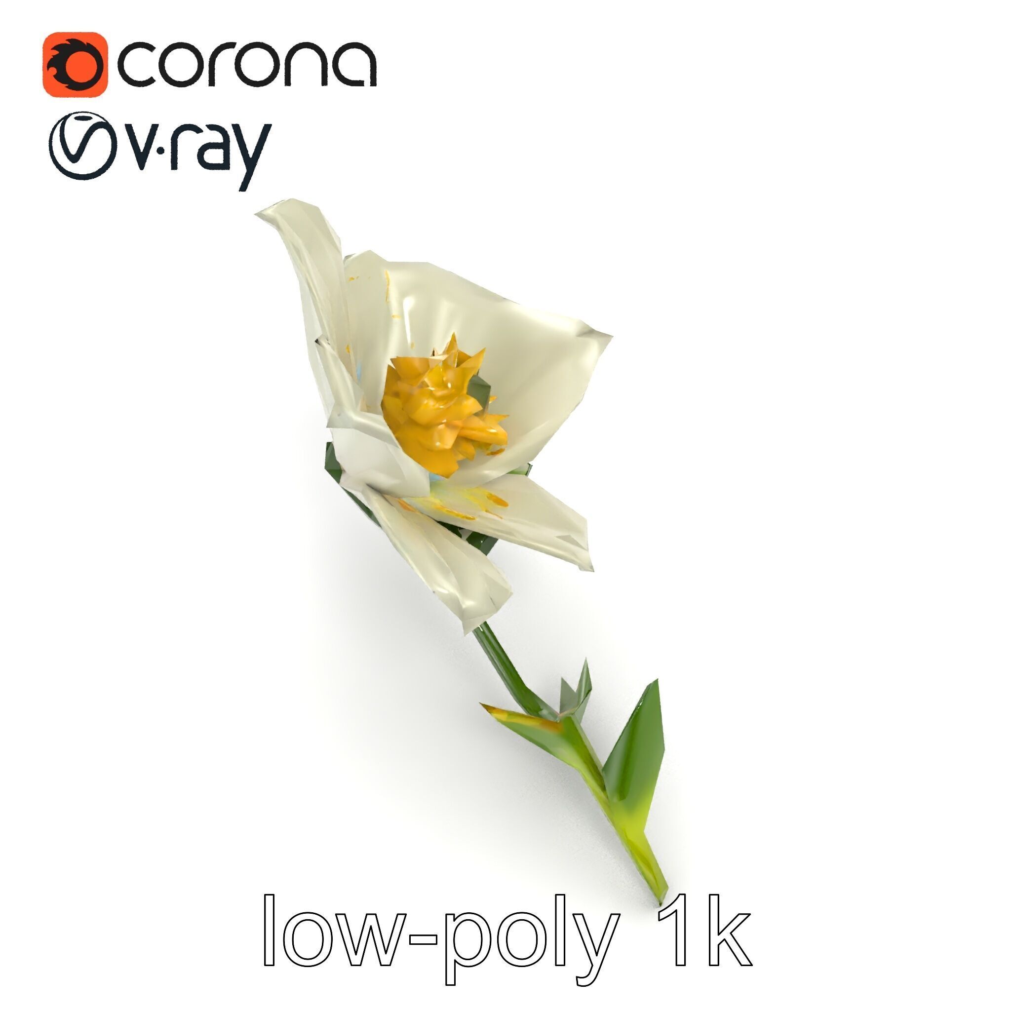 Elegant White Petal Flower 3D Model Pack Low-poly 3D model_27