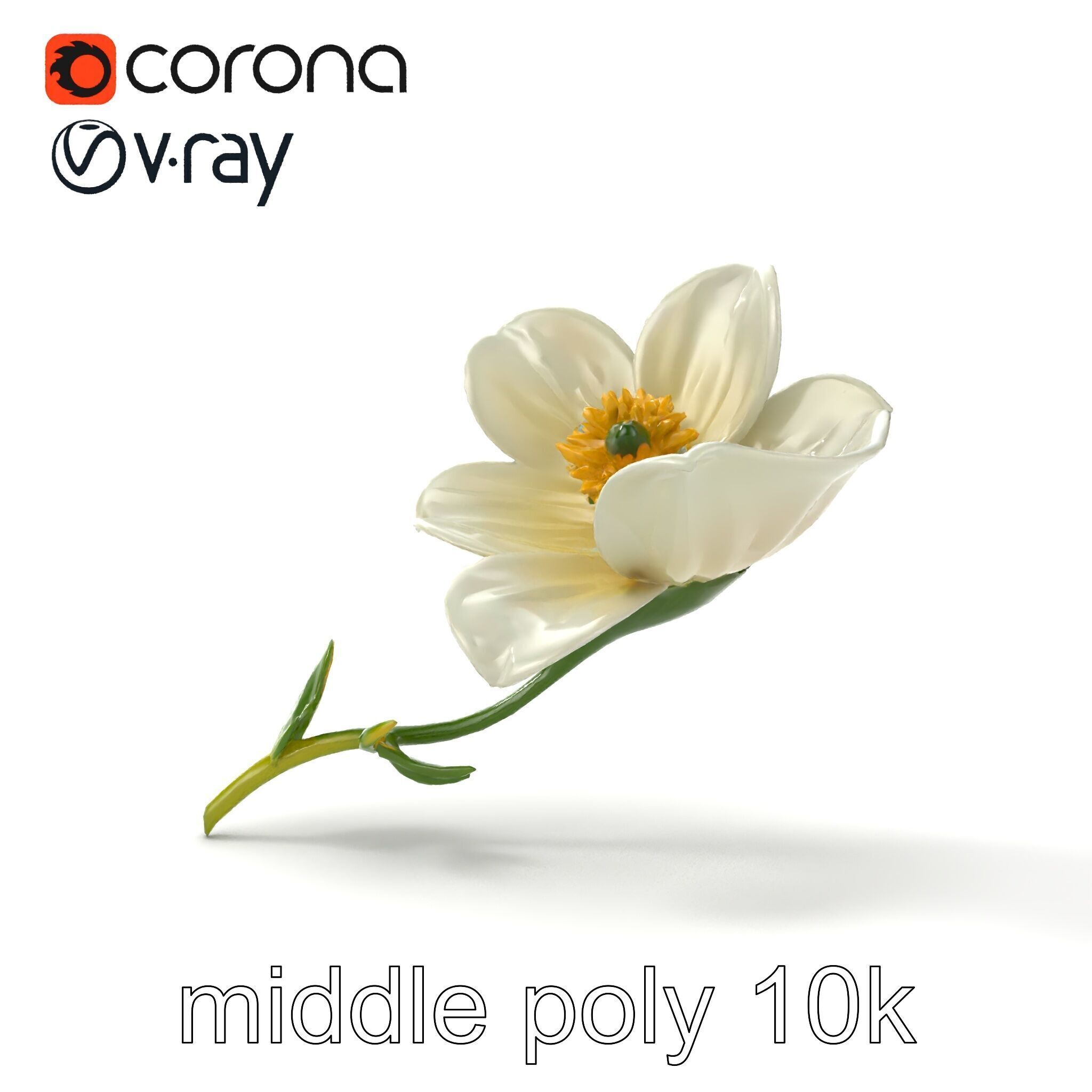 Elegant White Petal Flower 3D Model Pack Low-poly 3D model_16