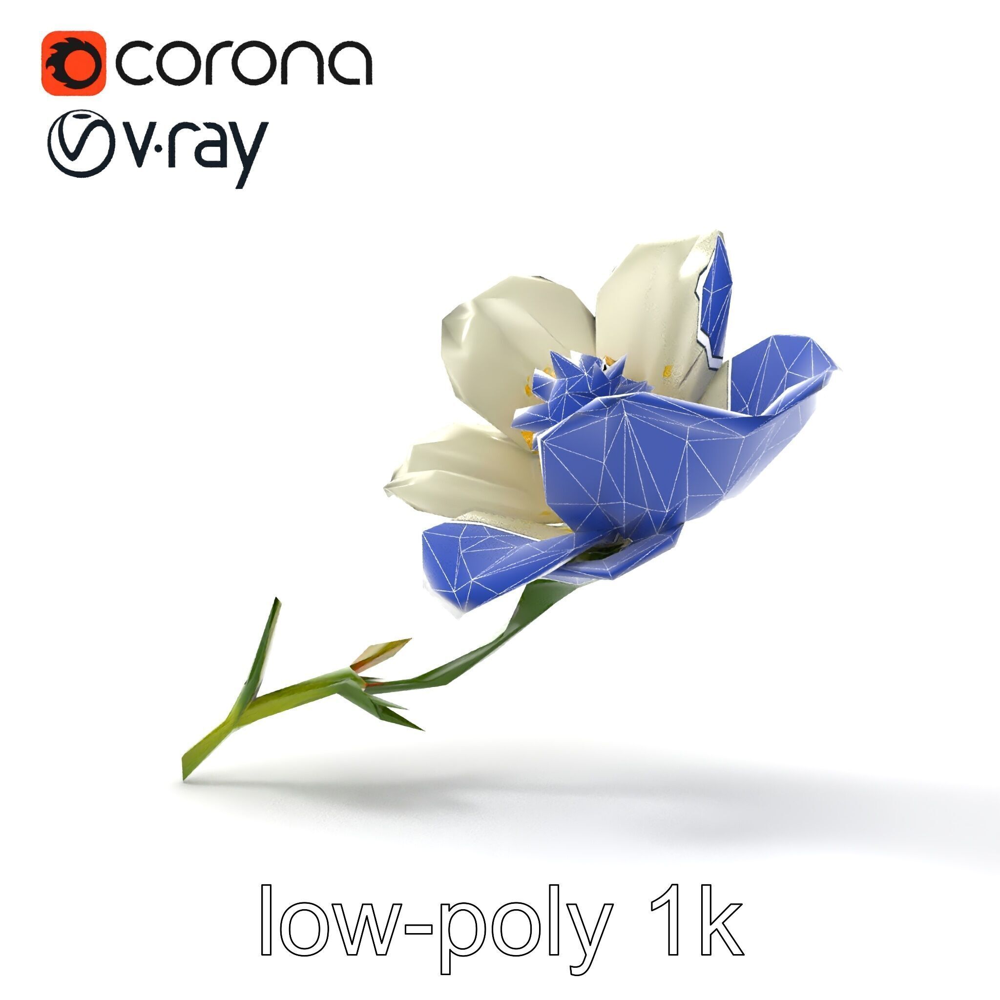 Elegant White Petal Flower 3D Model Pack Low-poly 3D model_26