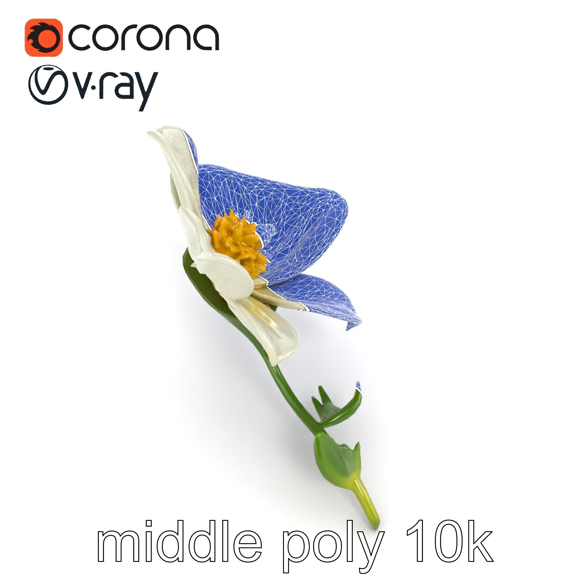 Elegant White Petal Flower 3D Model Pack Low-poly 3D model_22