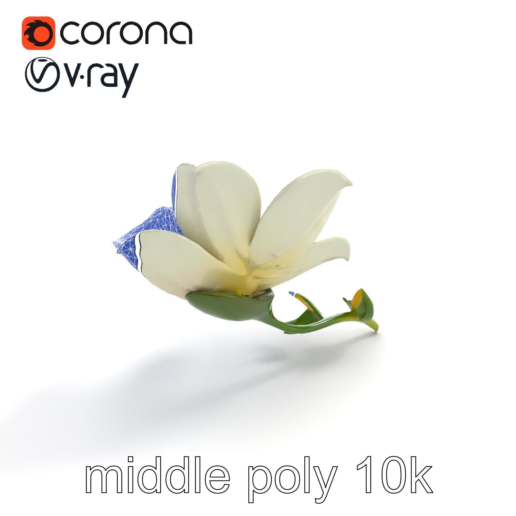 Elegant White Petal Flower 3D Model Pack Low-poly 3D model_11
