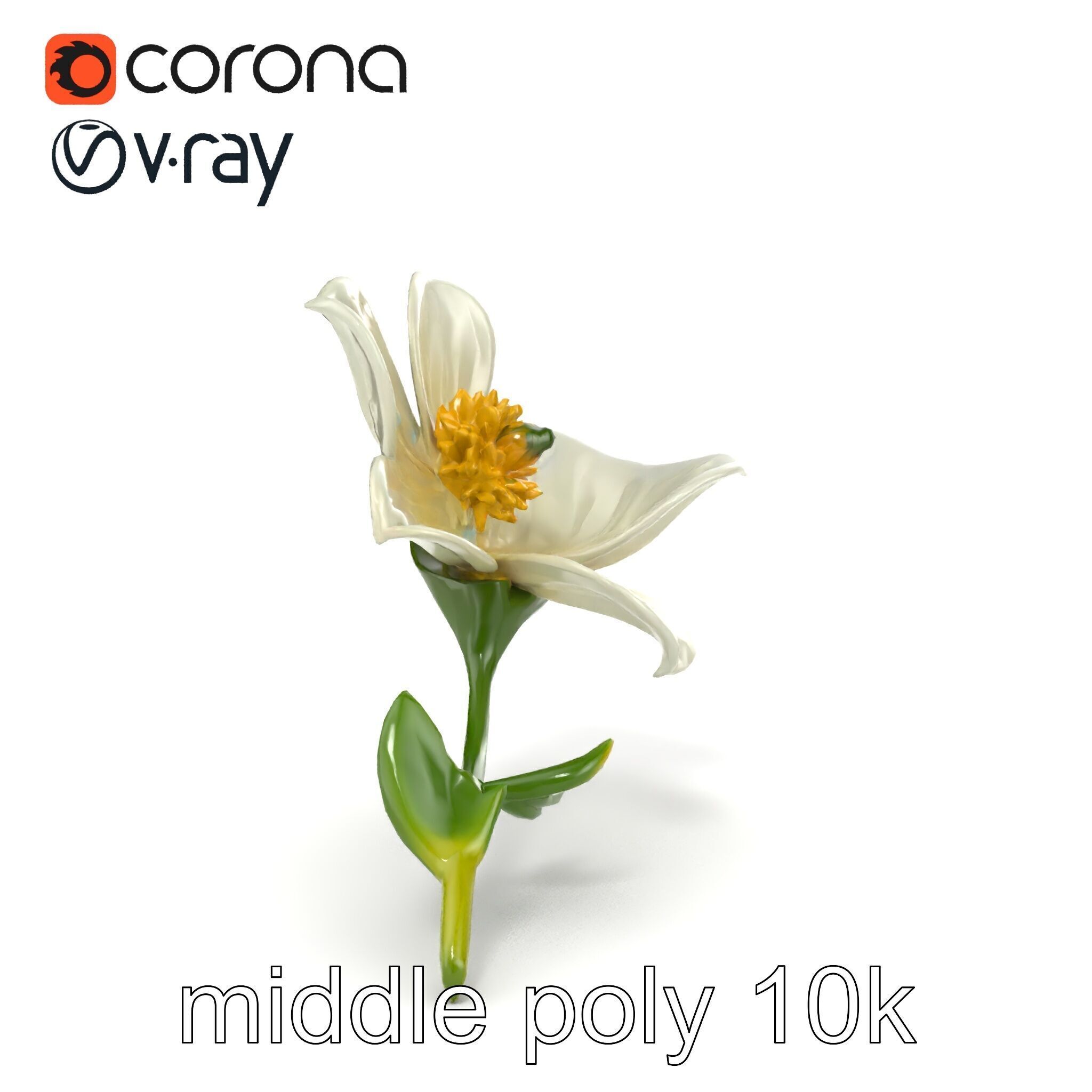 Elegant White Petal Flower 3D Model Pack Low-poly 3D model_12