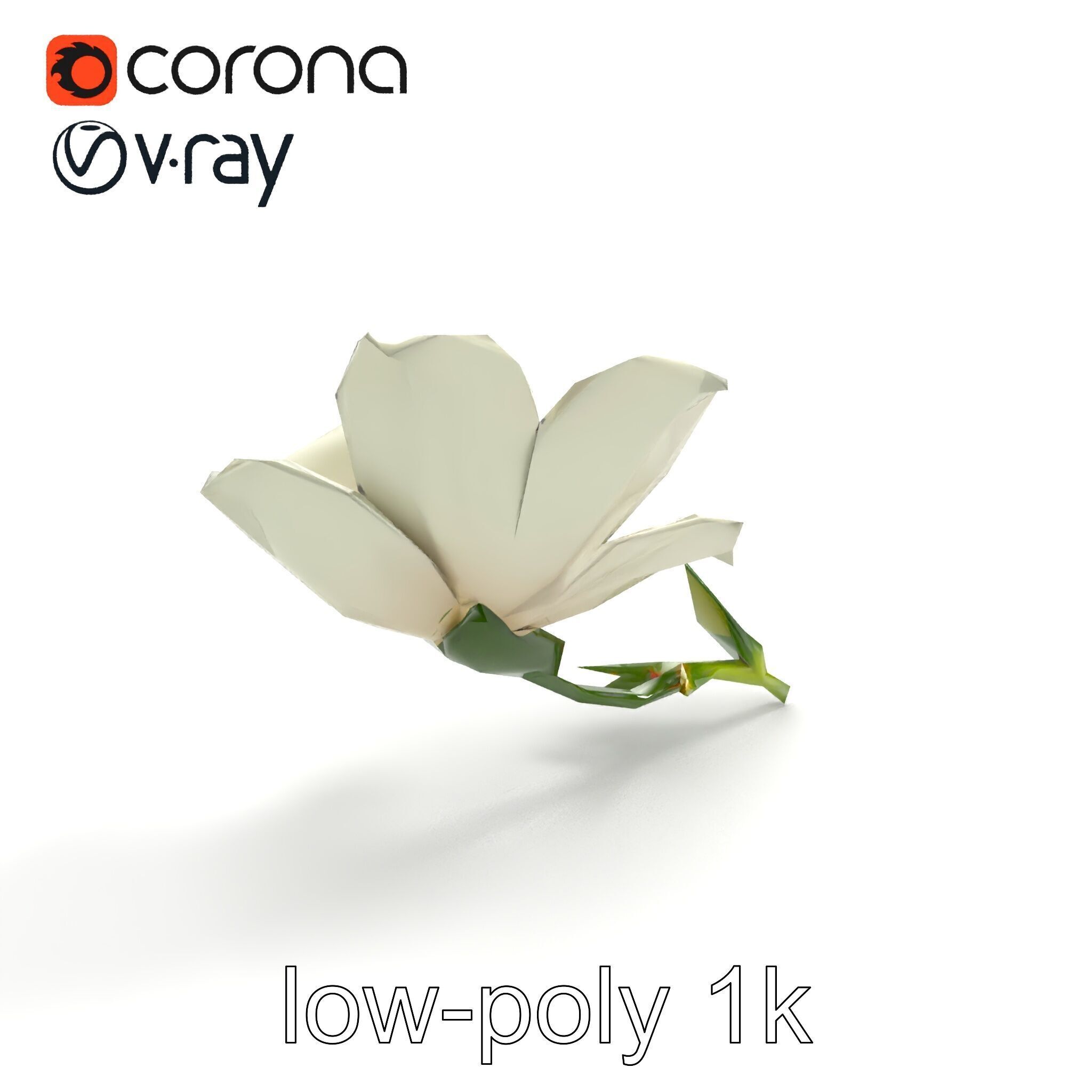 Elegant White Petal Flower 3D Model Pack Low-poly 3D model_9