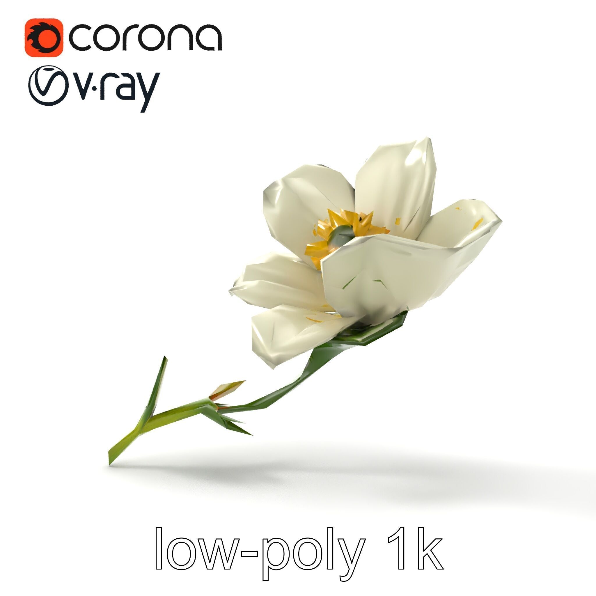 Elegant White Petal Flower 3D Model Pack Low-poly 3D model_24