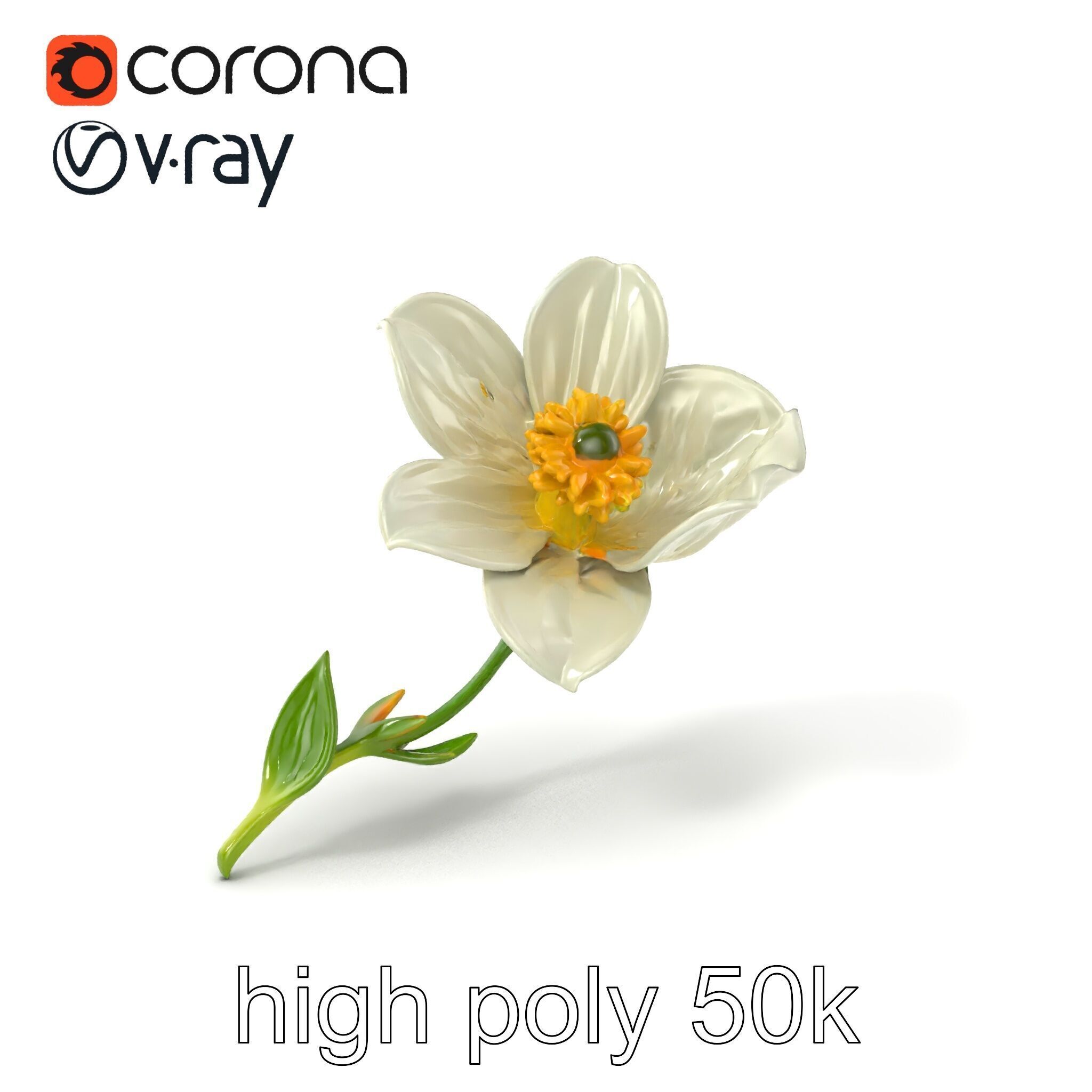 Elegant White Petal Flower 3D Model Pack Low-poly 3D model_2