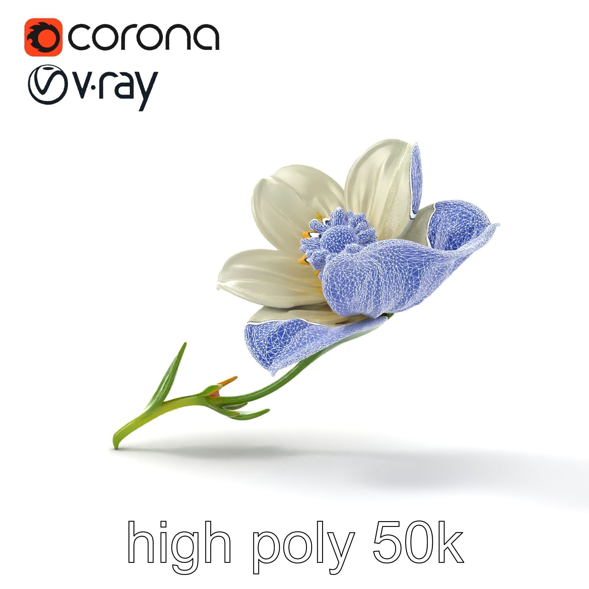 Elegant White Petal Flower 3D Model Pack Low-poly 3D model_19