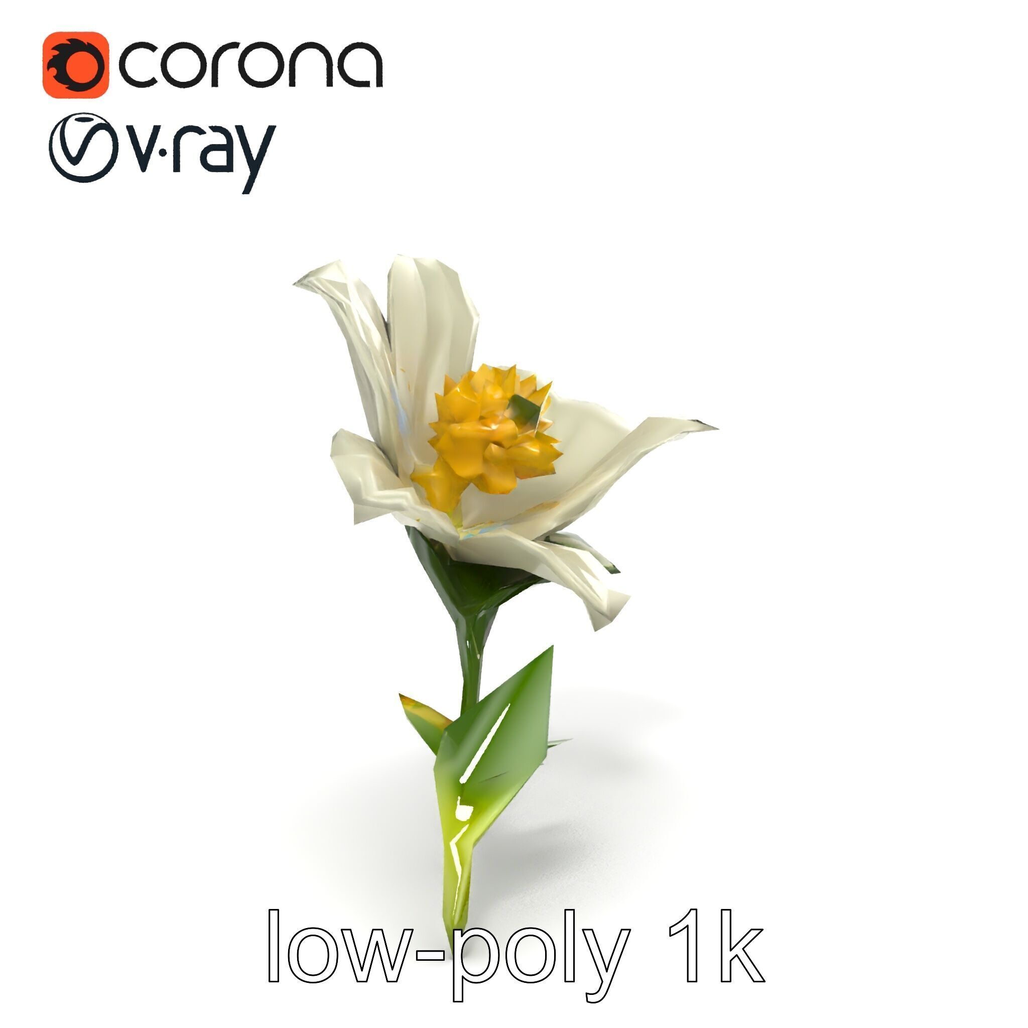 Elegant White Petal Flower 3D Model Pack Low-poly 3D model_14