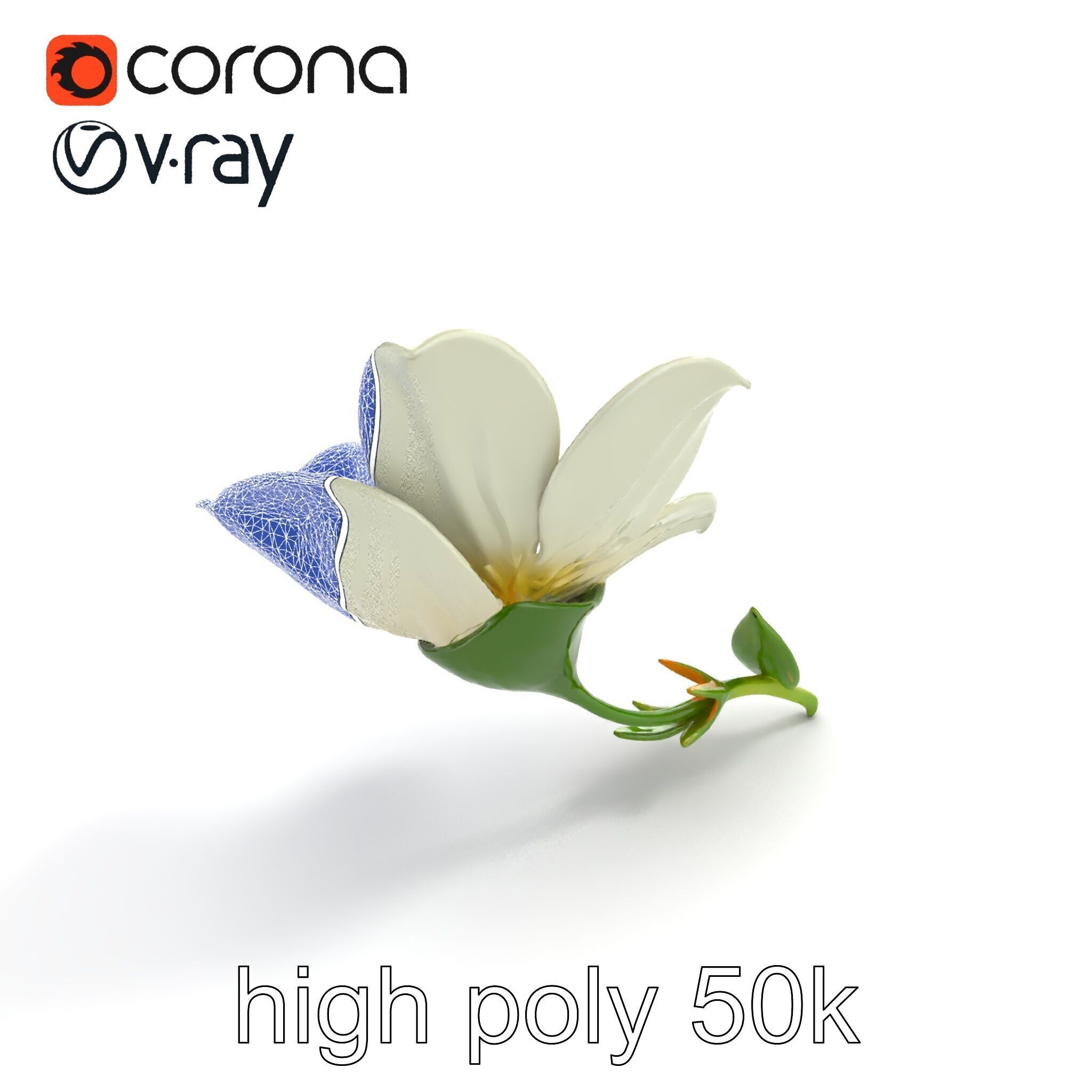 Elegant White Petal Flower 3D Model Pack Low-poly 3D model_18