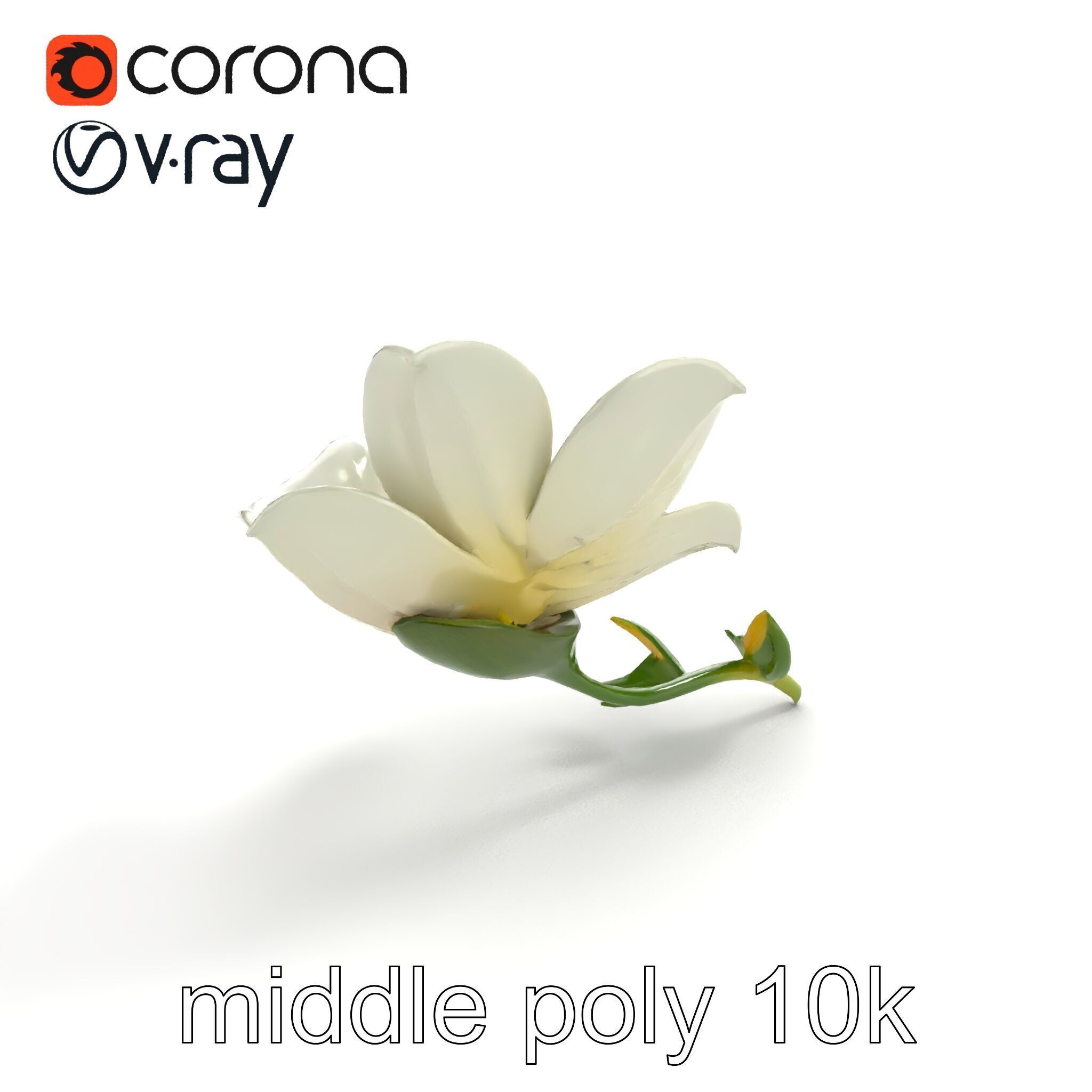Elegant White Petal Flower 3D Model Pack Low-poly 3D model_8
