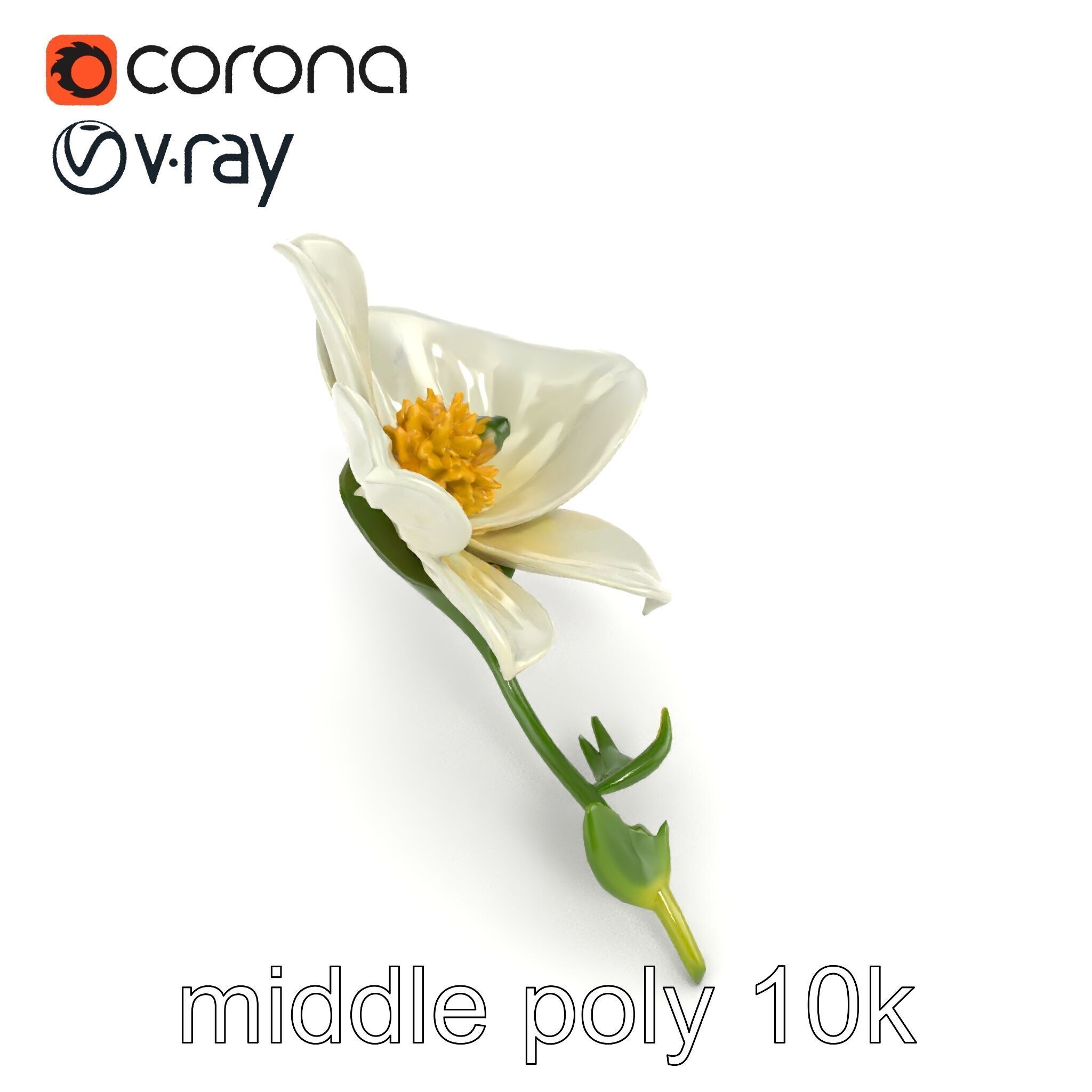Elegant White Petal Flower 3D Model Pack Low-poly 3D model_15
