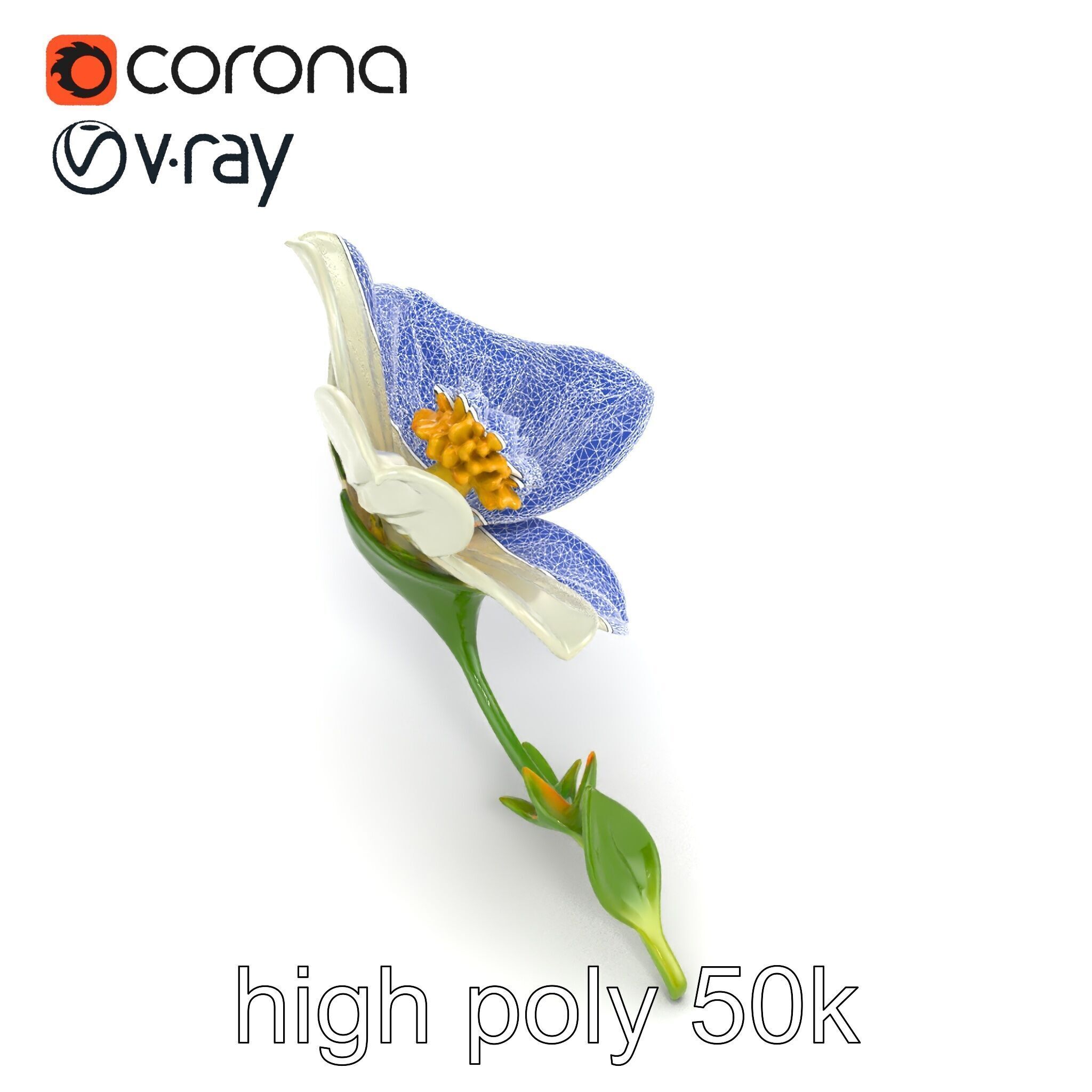 Elegant White Petal Flower 3D Model Pack Low-poly 3D model_17