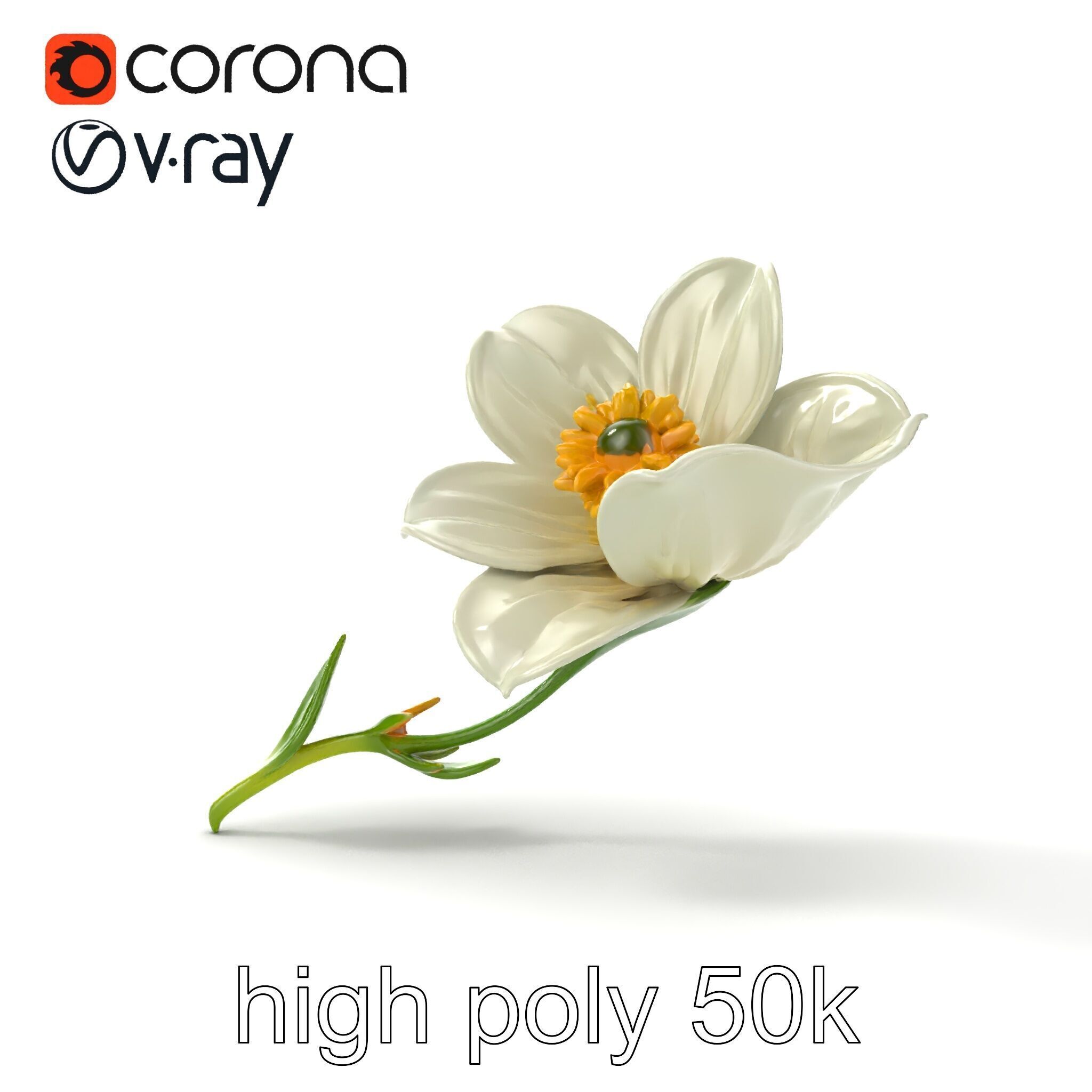 Elegant White Petal Flower 3D Model Pack Low-poly 3D model_28