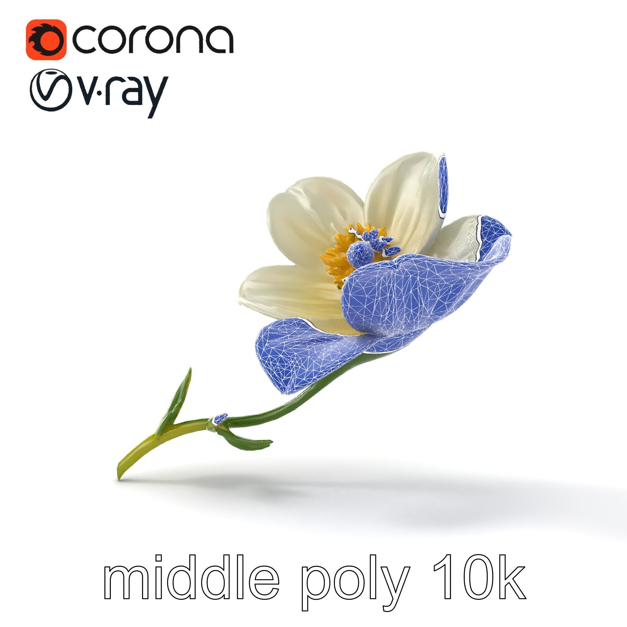 Elegant White Petal Flower 3D Model Pack Low-poly 3D model_31