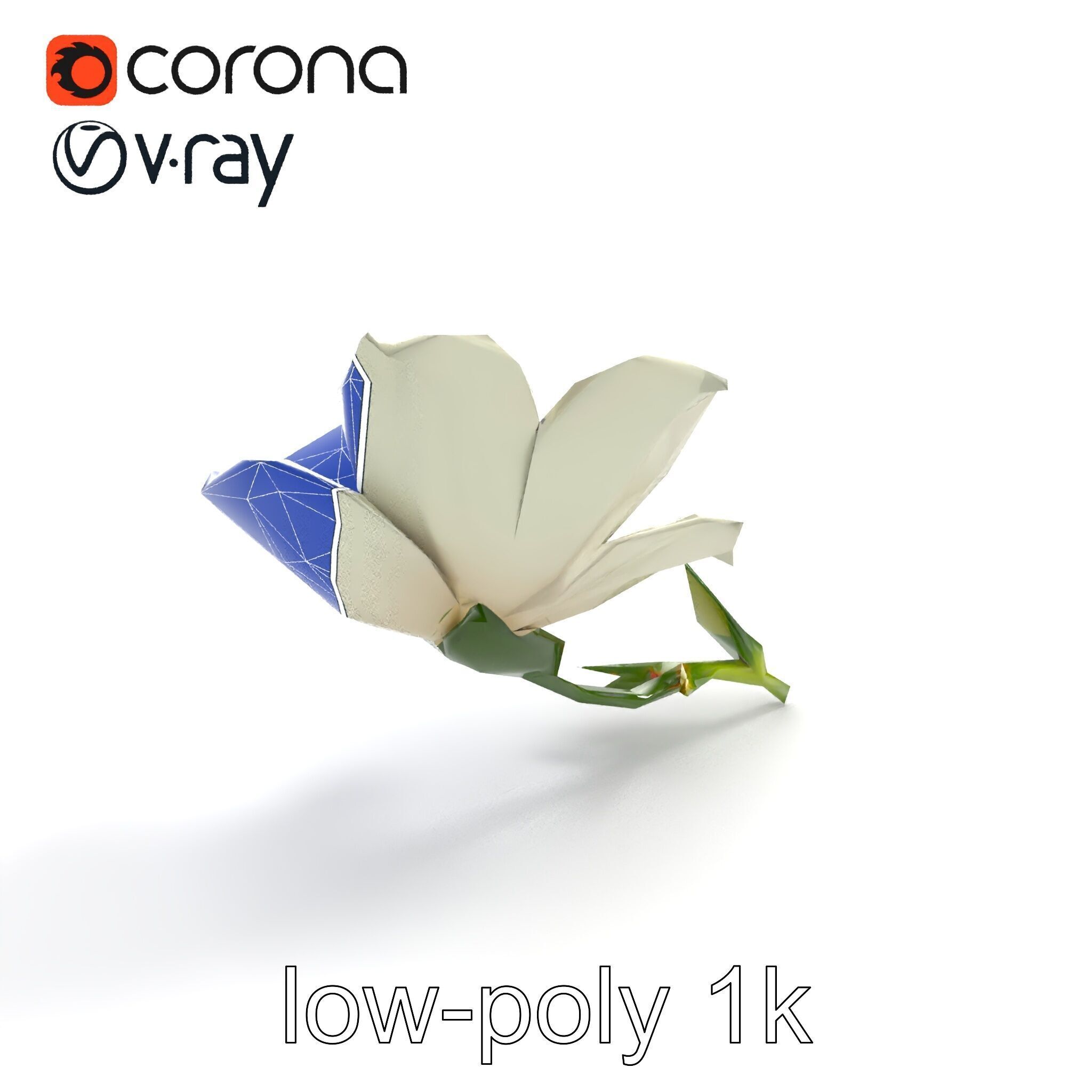 Elegant White Petal Flower 3D Model Pack Low-poly 3D model_23