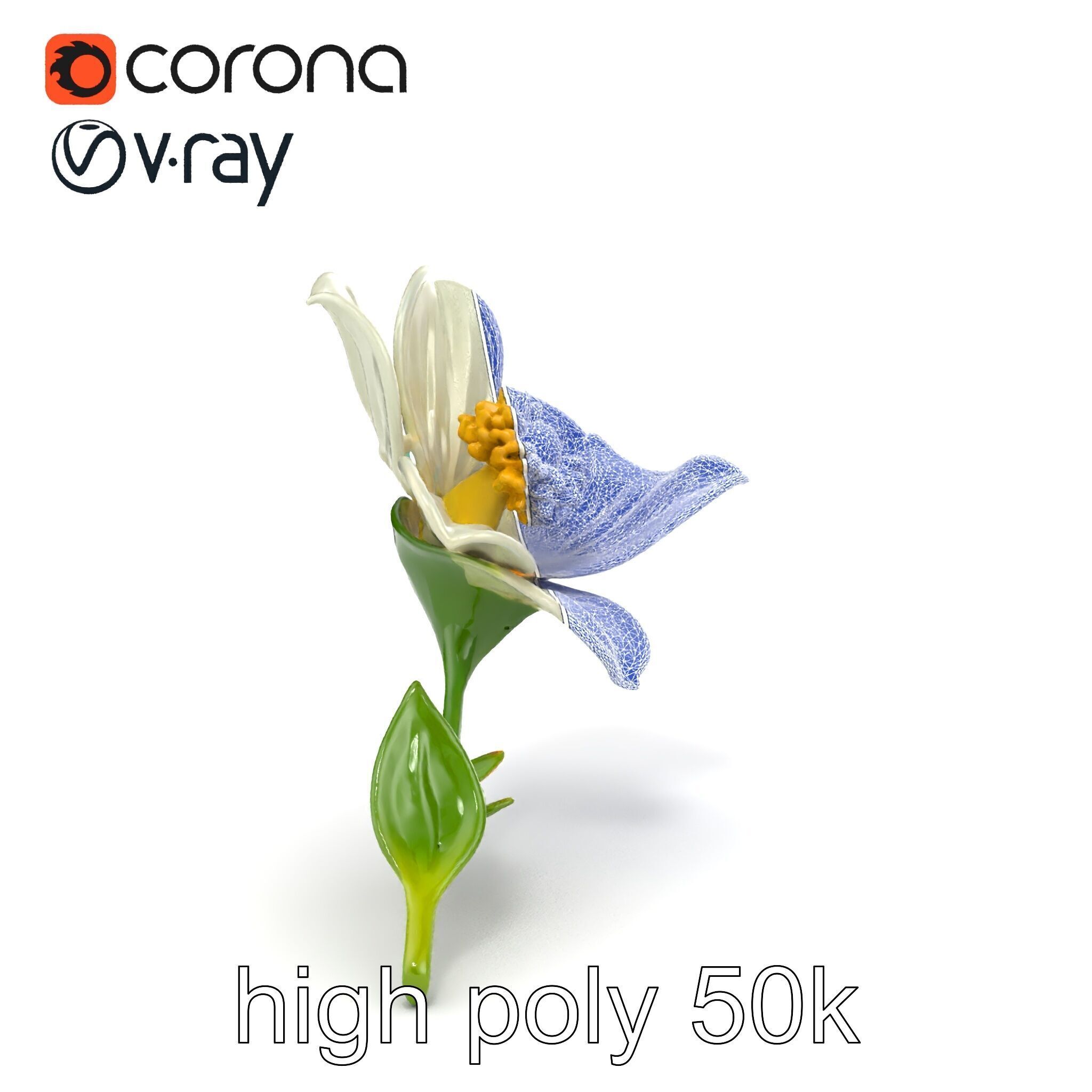 Elegant White Petal Flower 3D Model Pack Low-poly 3D model_25
