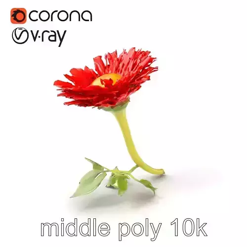 Red Cornflower Floral Realism model pack Low-poly 3D model