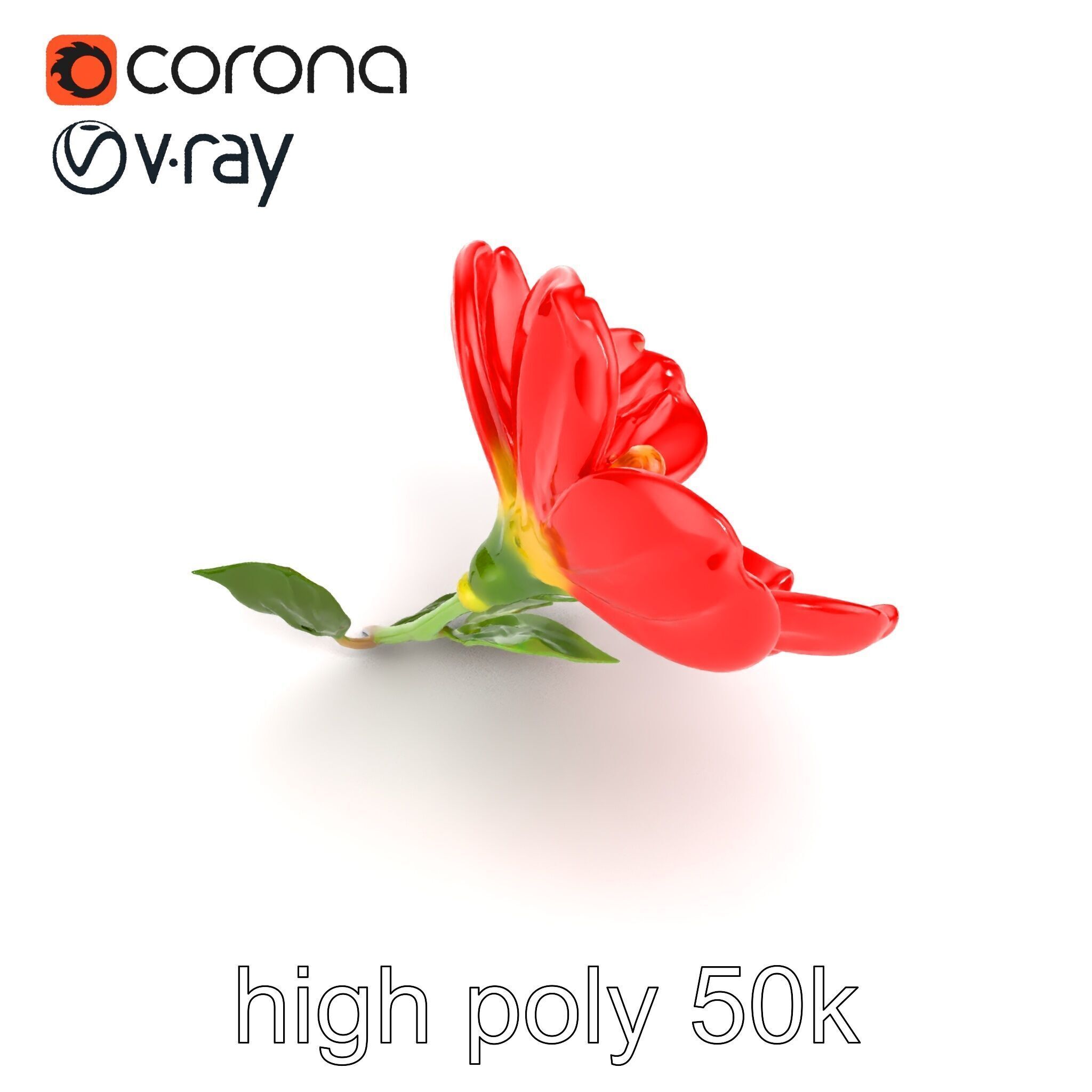 Vivid Red Floral Realistic Model Pack Low-poly 3D model_22