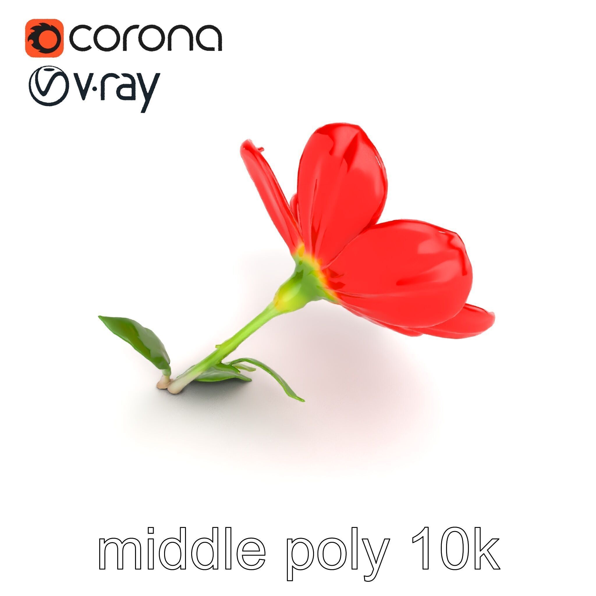 Vivid Red Floral Realistic Model Pack Low-poly 3D model_12