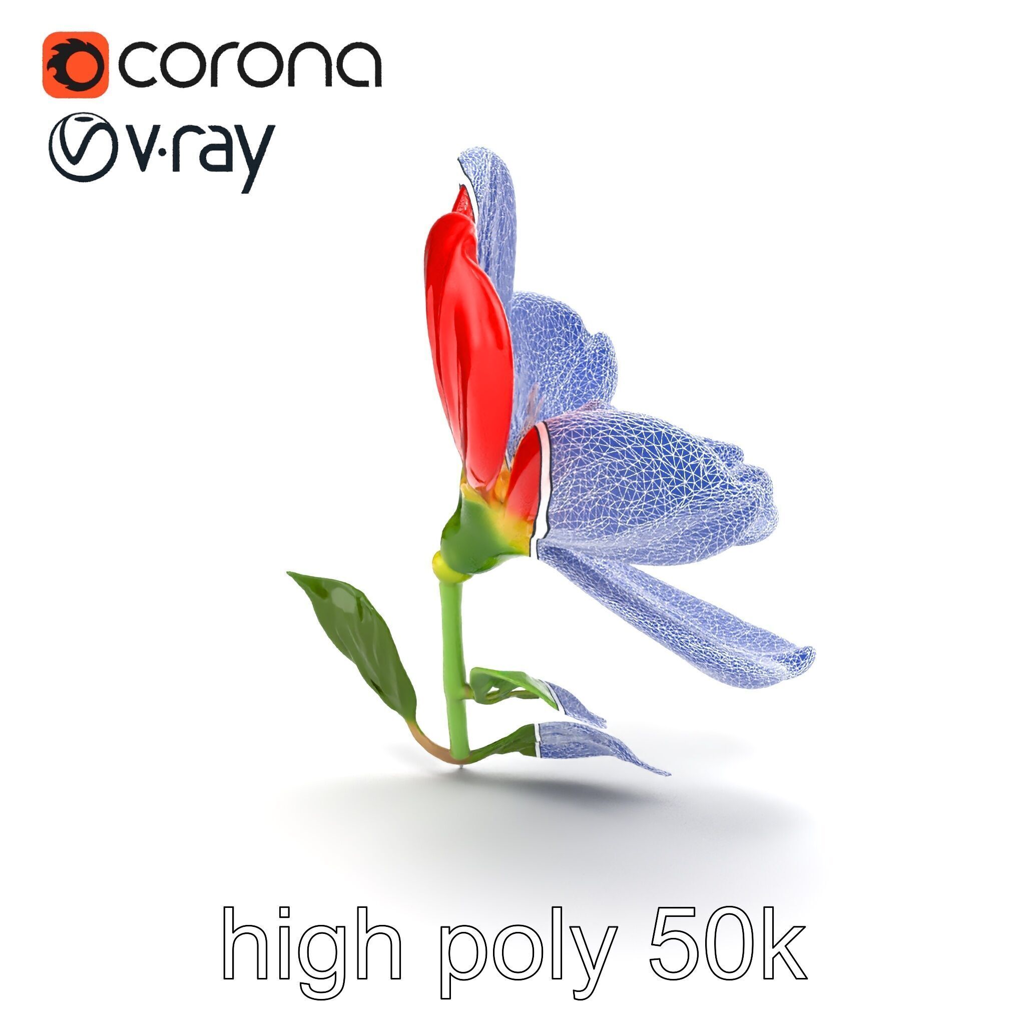 Vivid Red Floral Realistic Model Pack Low-poly 3D model_25