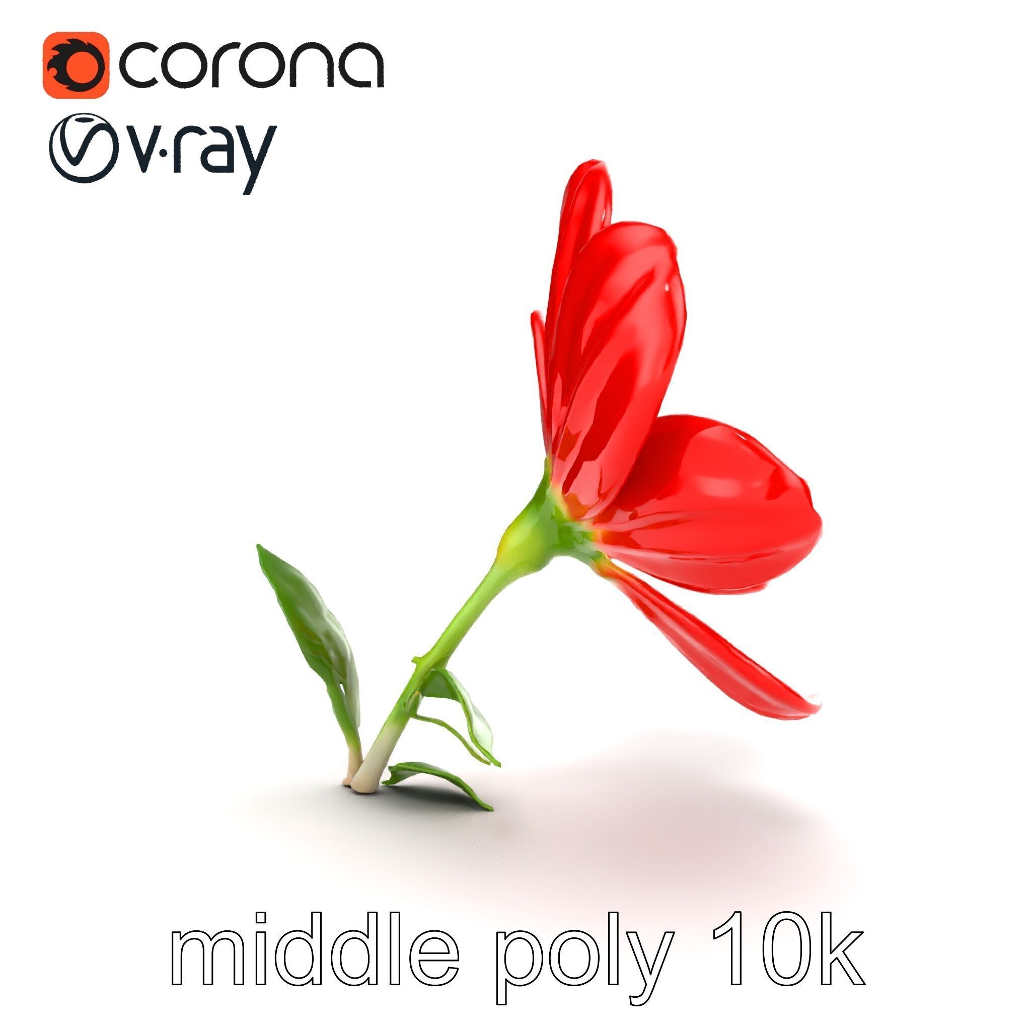 Vivid Red Floral Realistic Model Pack Low-poly 3D model_26