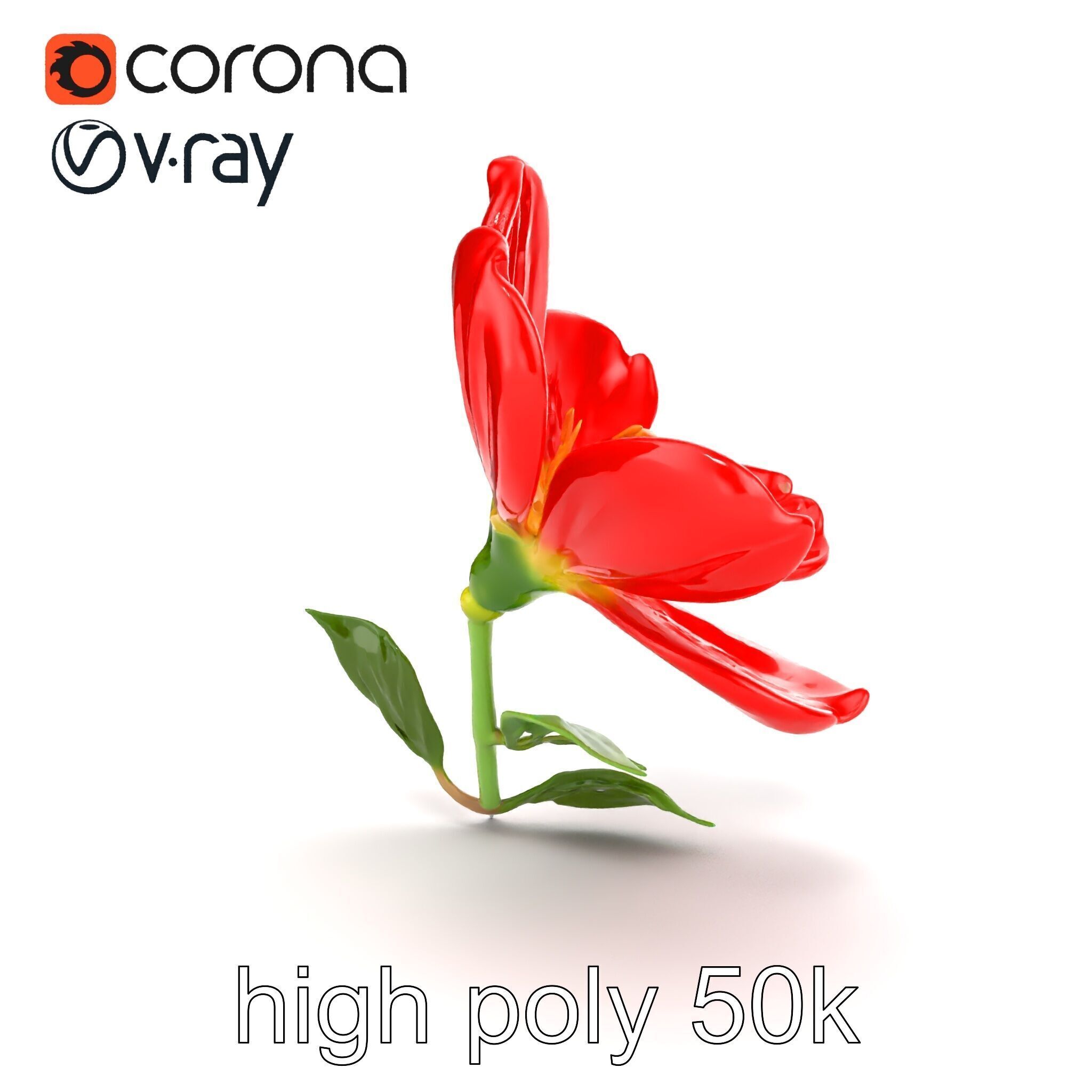 Vivid Red Floral Realistic Model Pack Low-poly 3D model_30
