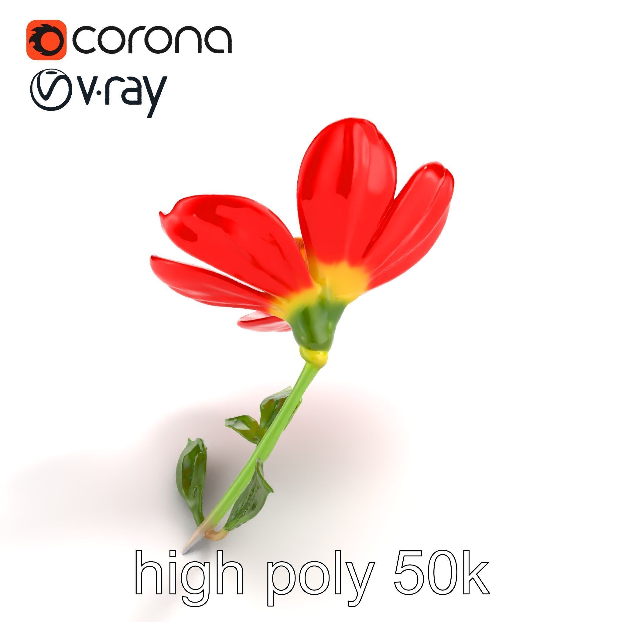 Vivid Red Floral Realistic Model Pack Low-poly 3D model_31