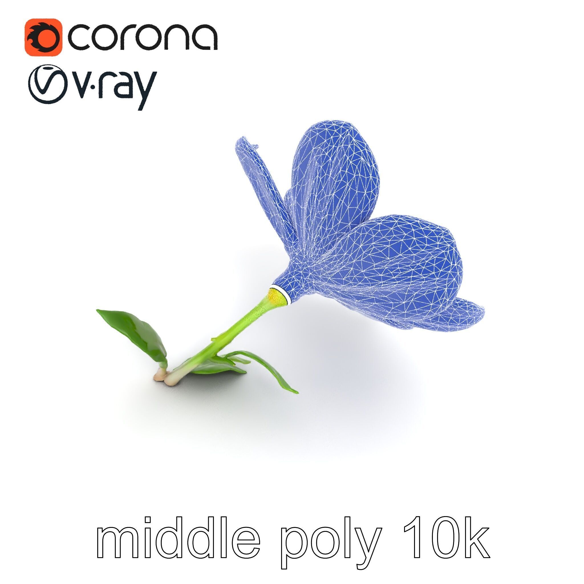 Vivid Red Floral Realistic Model Pack Low-poly 3D model_23