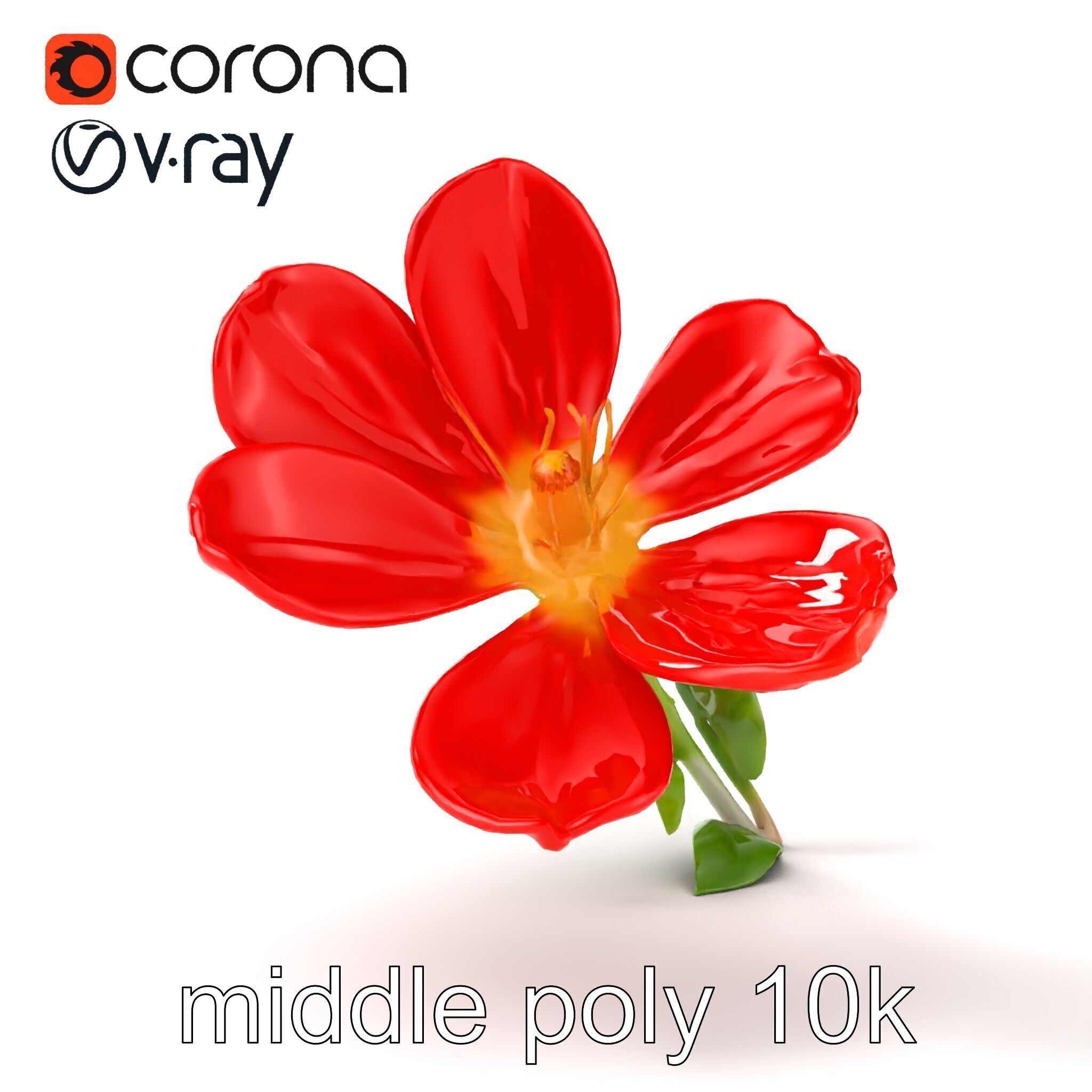 Vivid Red Floral Realistic Model Pack Low-poly 3D model_27
