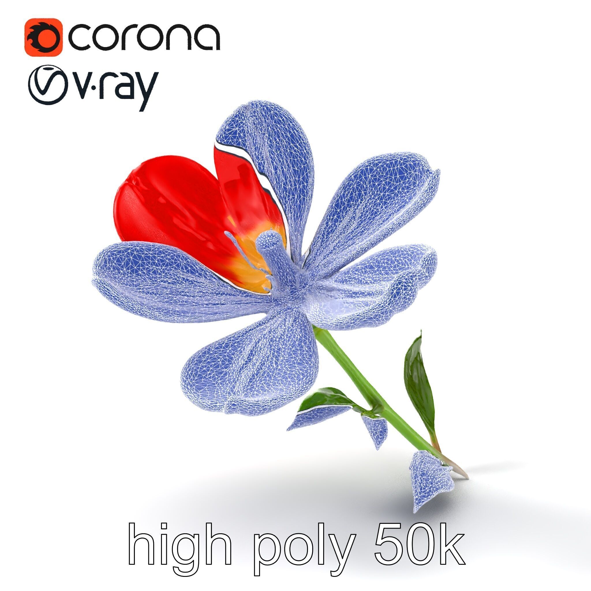 Vivid Red Floral Realistic Model Pack Low-poly 3D model_32