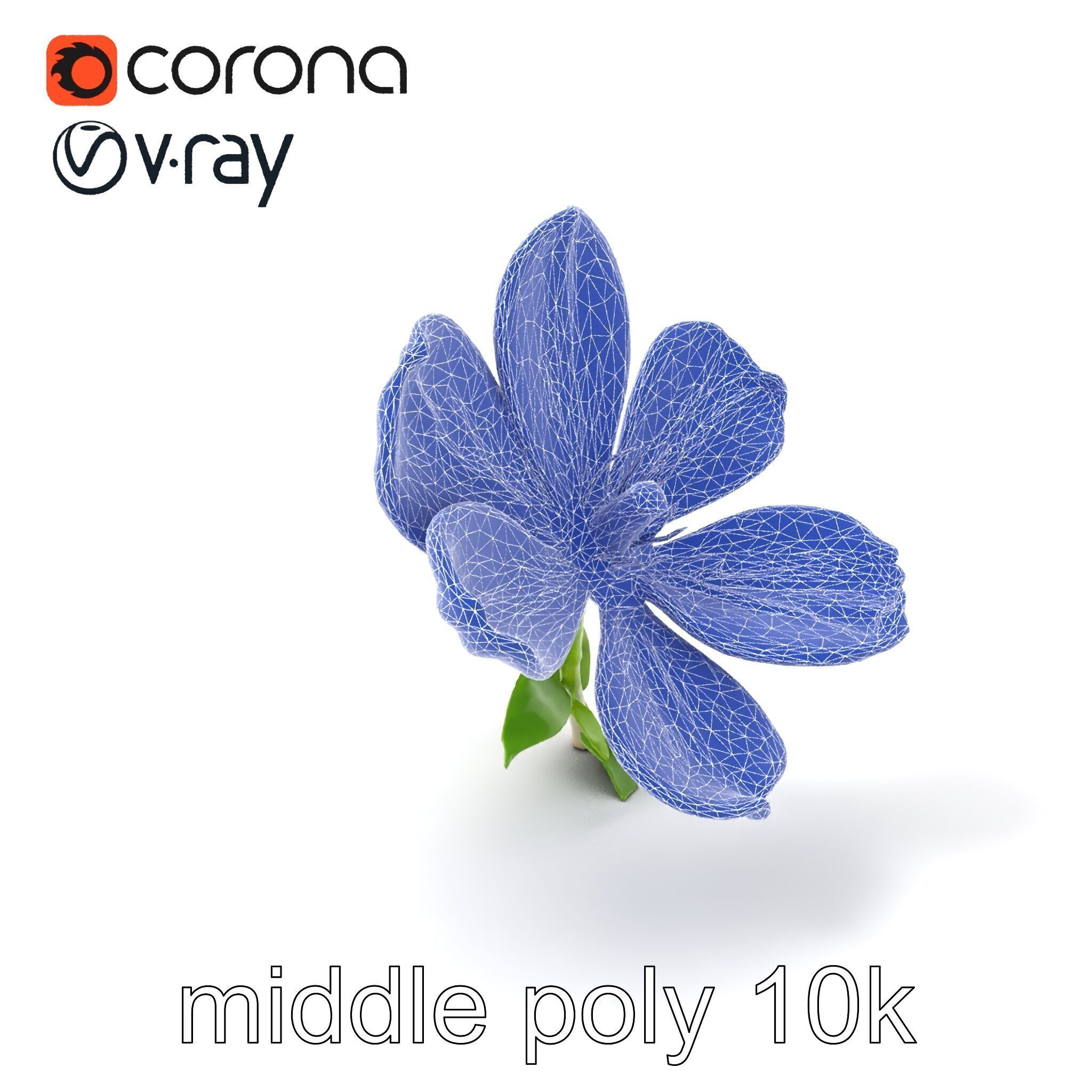 Vivid Red Floral Realistic Model Pack Low-poly 3D model_6