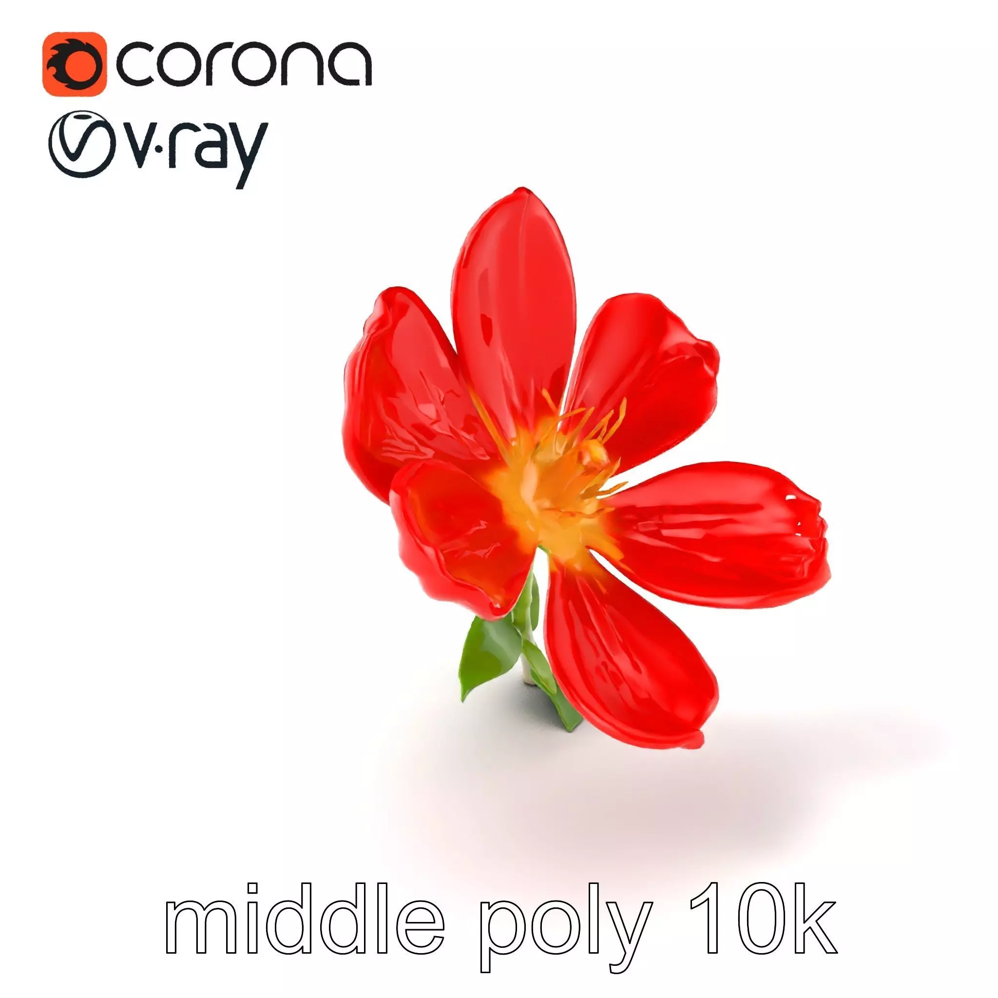 Vivid Red Floral Realistic Model Pack Low-poly 3D model_0
