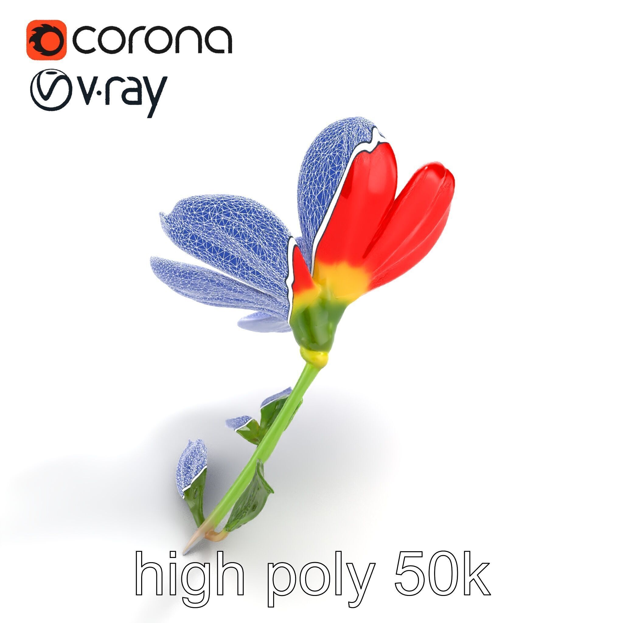 Vivid Red Floral Realistic Model Pack Low-poly 3D model_19