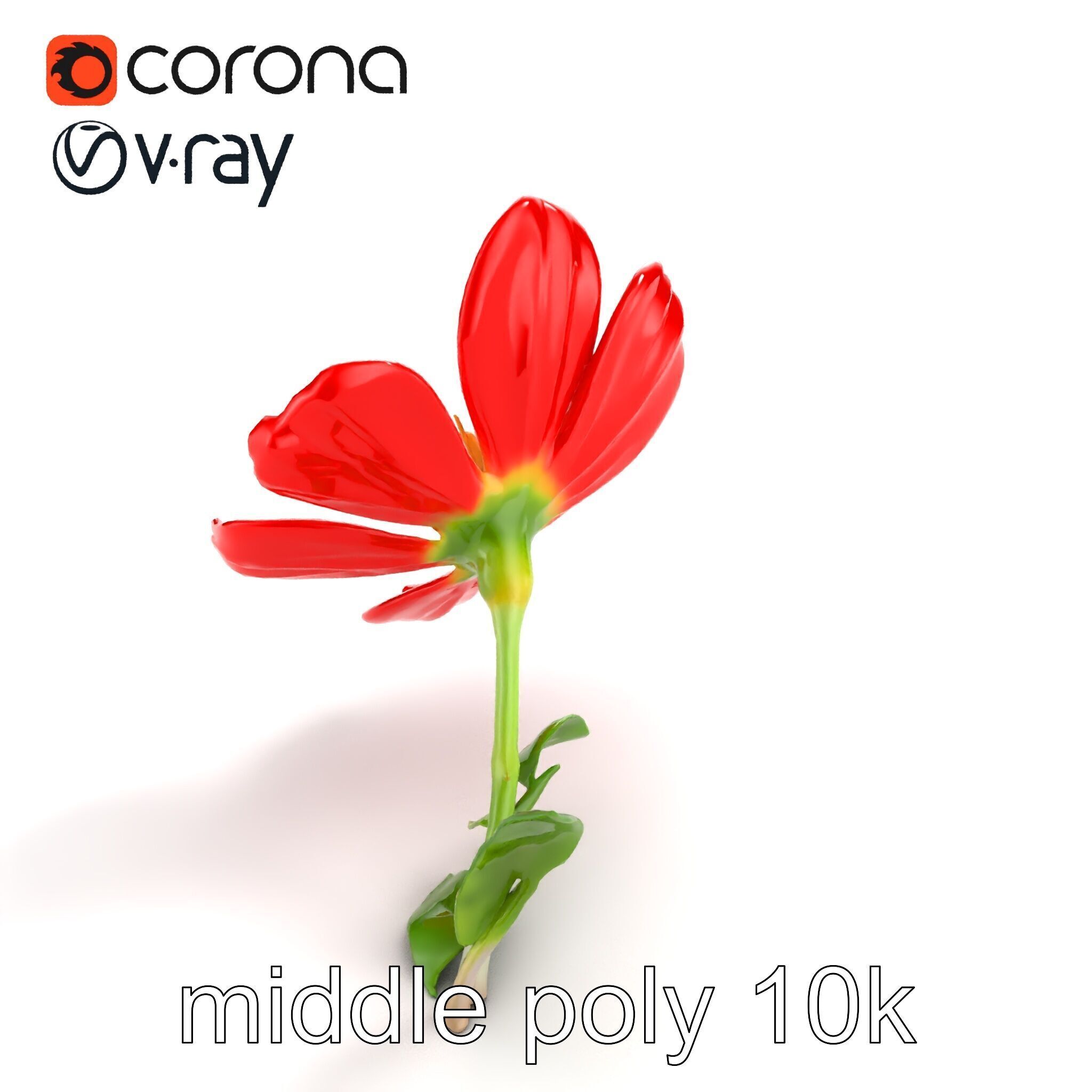 Vivid Red Floral Realistic Model Pack Low-poly 3D model_8