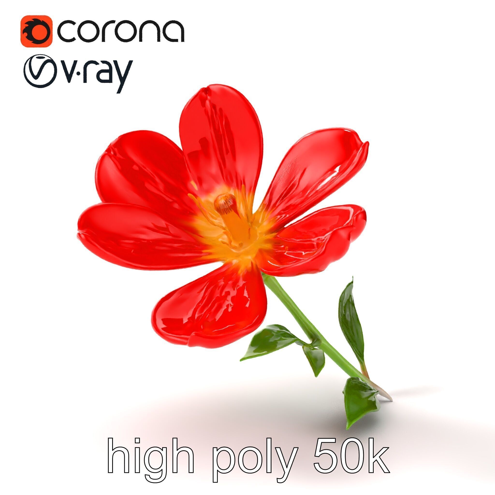 Vivid Red Floral Realistic Model Pack Low-poly 3D model_29