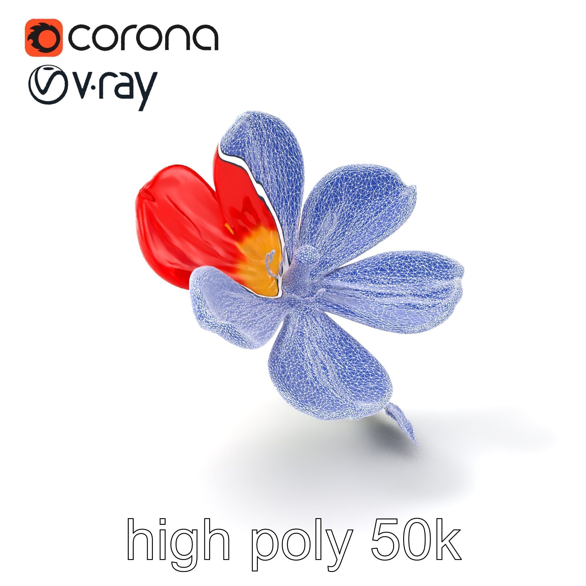 Vivid Red Floral Realistic Model Pack Low-poly 3D model_10