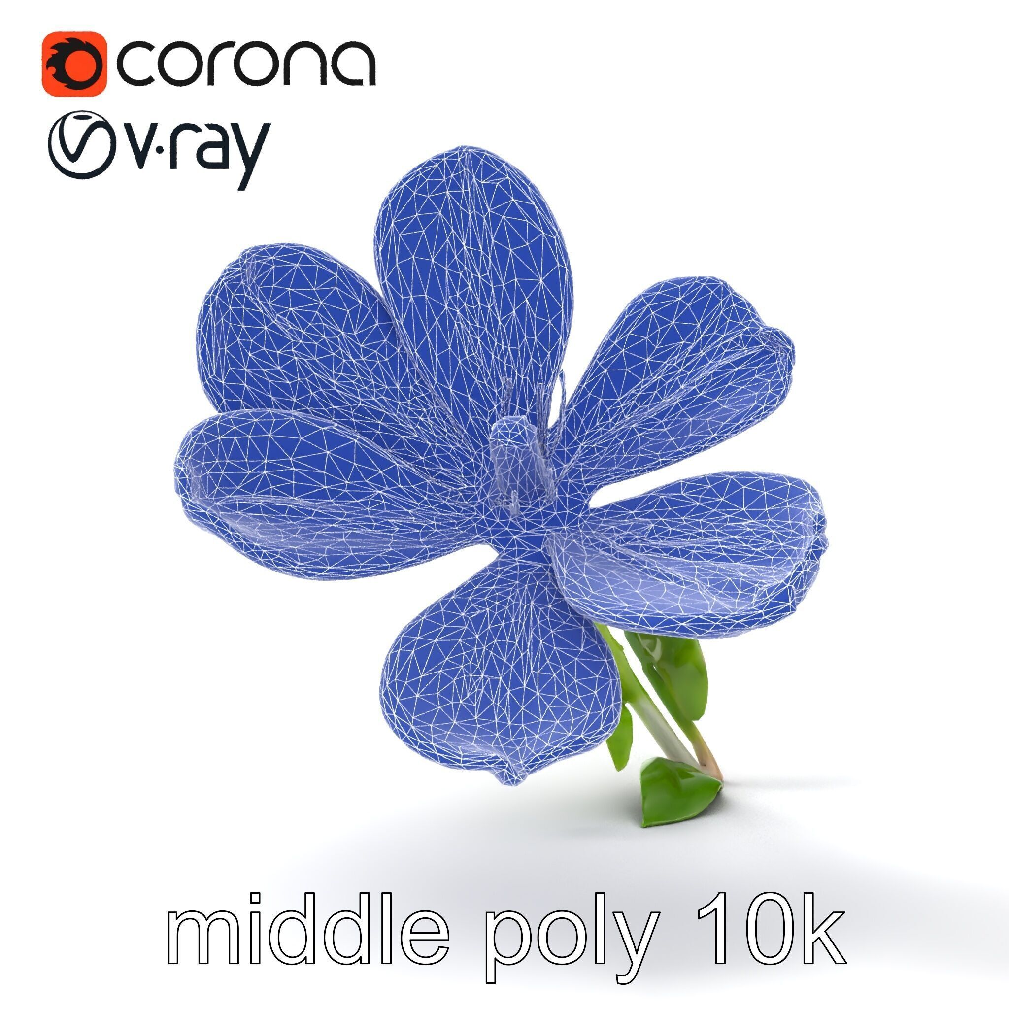 Vivid Red Floral Realistic Model Pack Low-poly 3D model_21