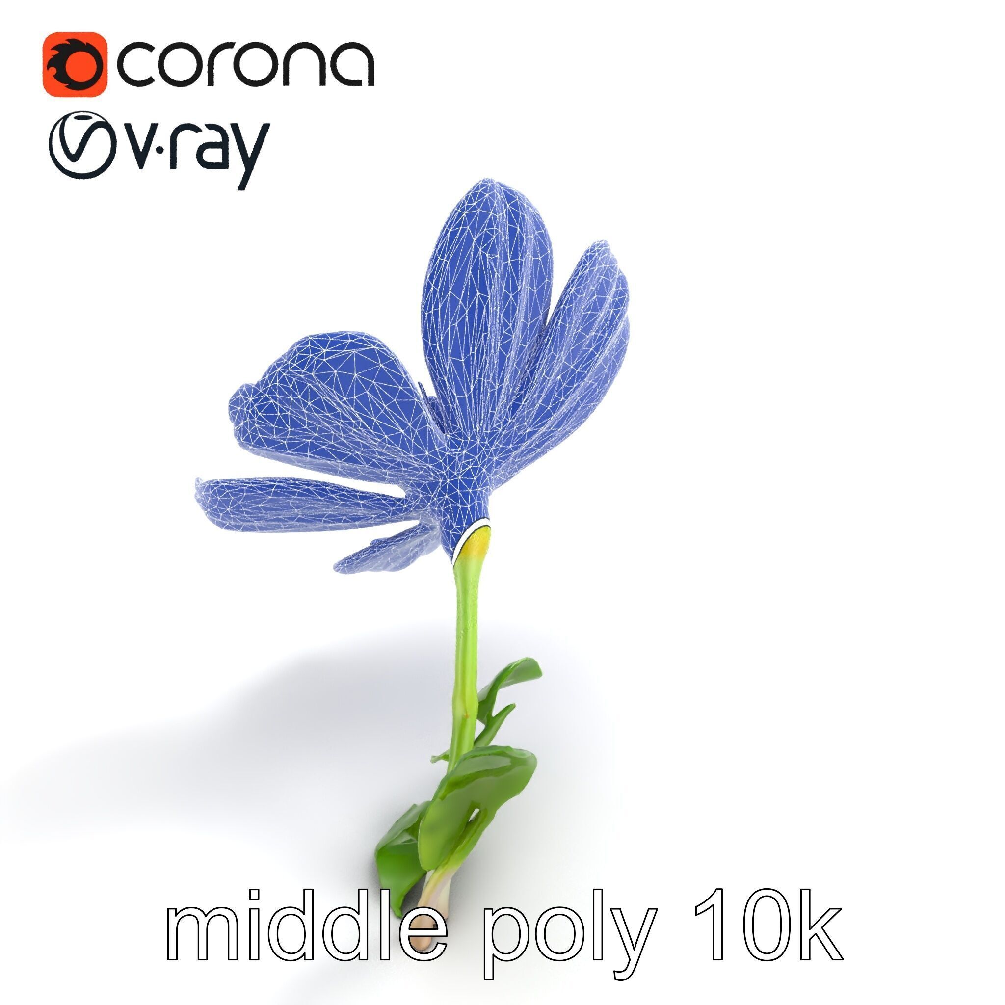 Vivid Red Floral Realistic Model Pack Low-poly 3D model_17