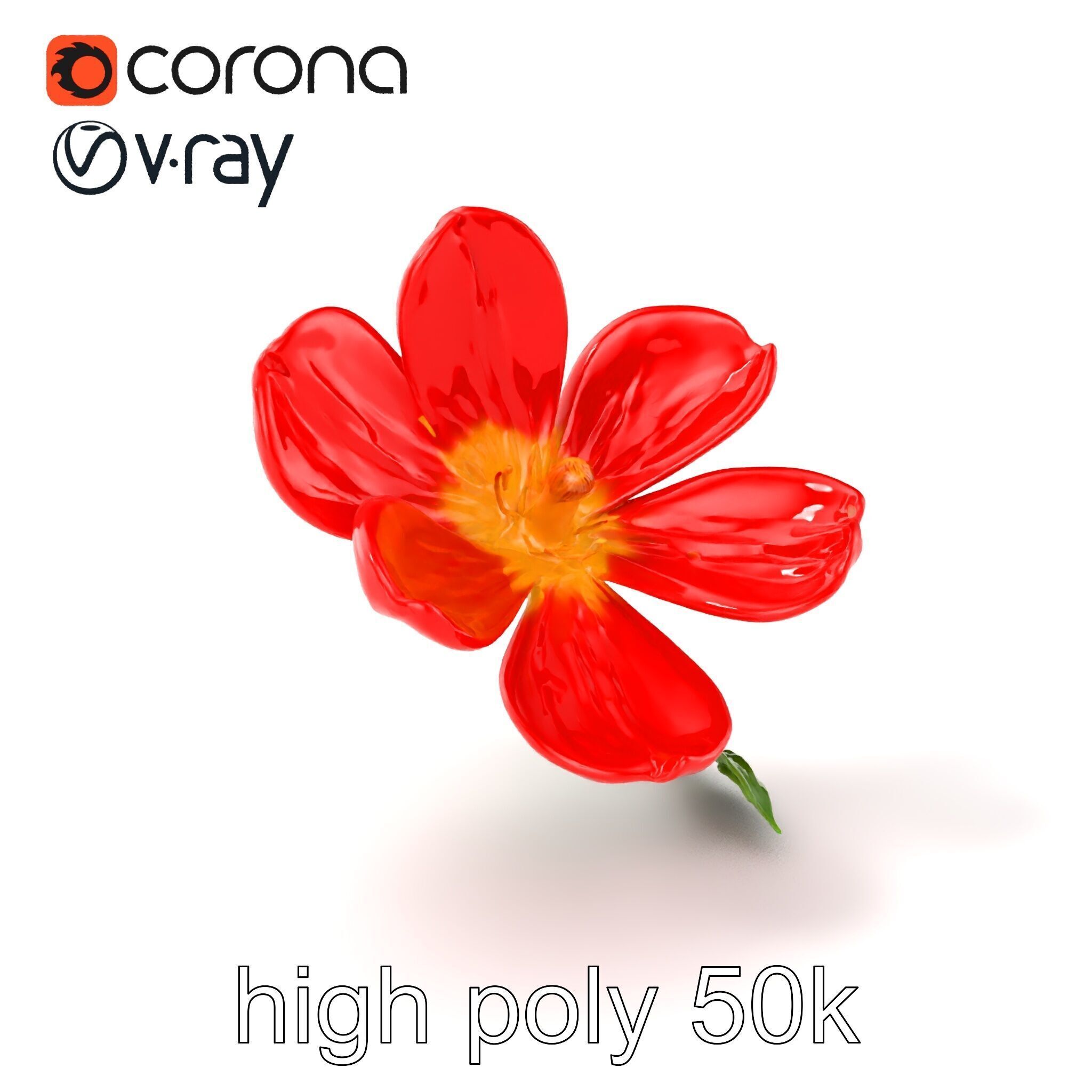 Vivid Red Floral Realistic Model Pack Low-poly 3D model_2