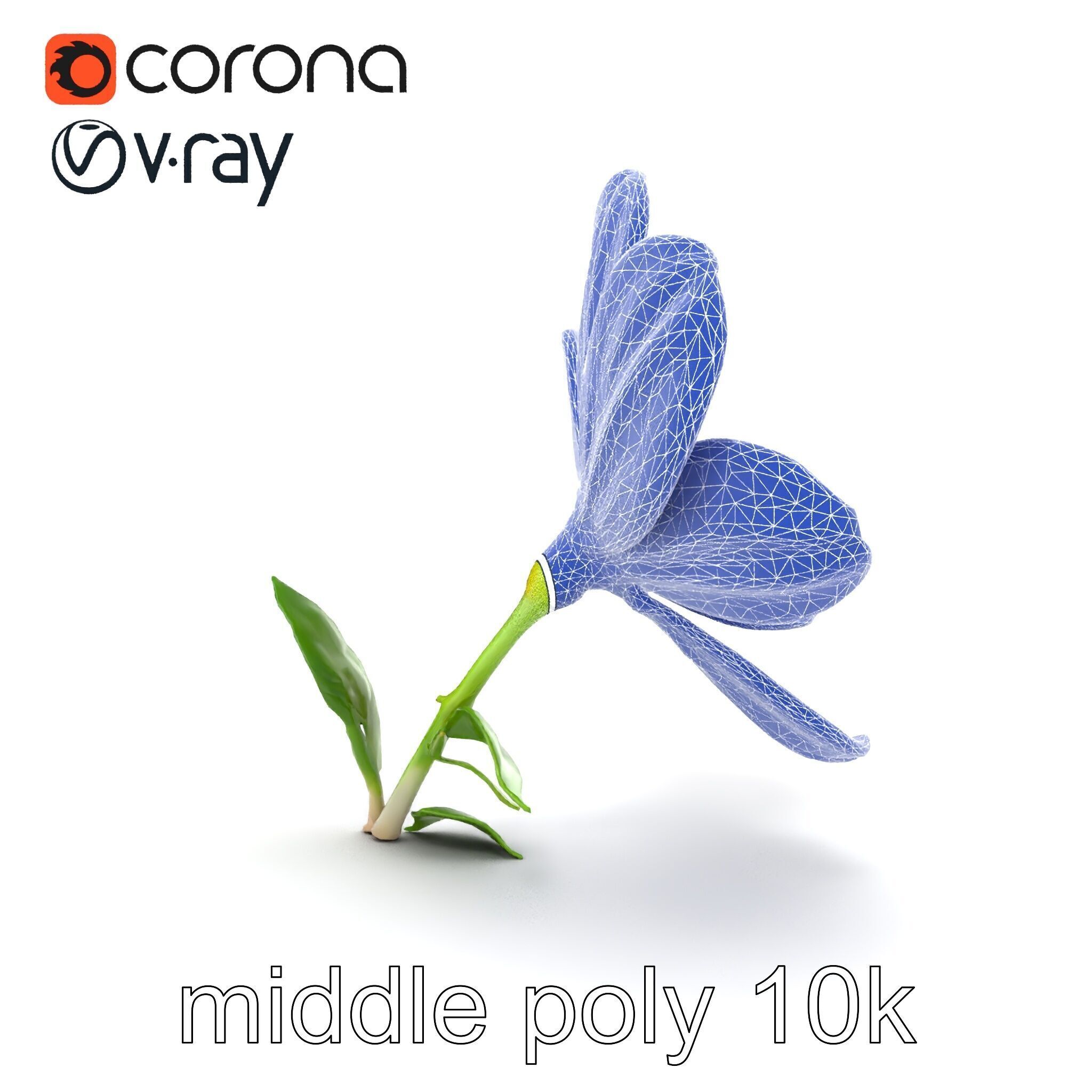 Vivid Red Floral Realistic Model Pack Low-poly 3D model_20