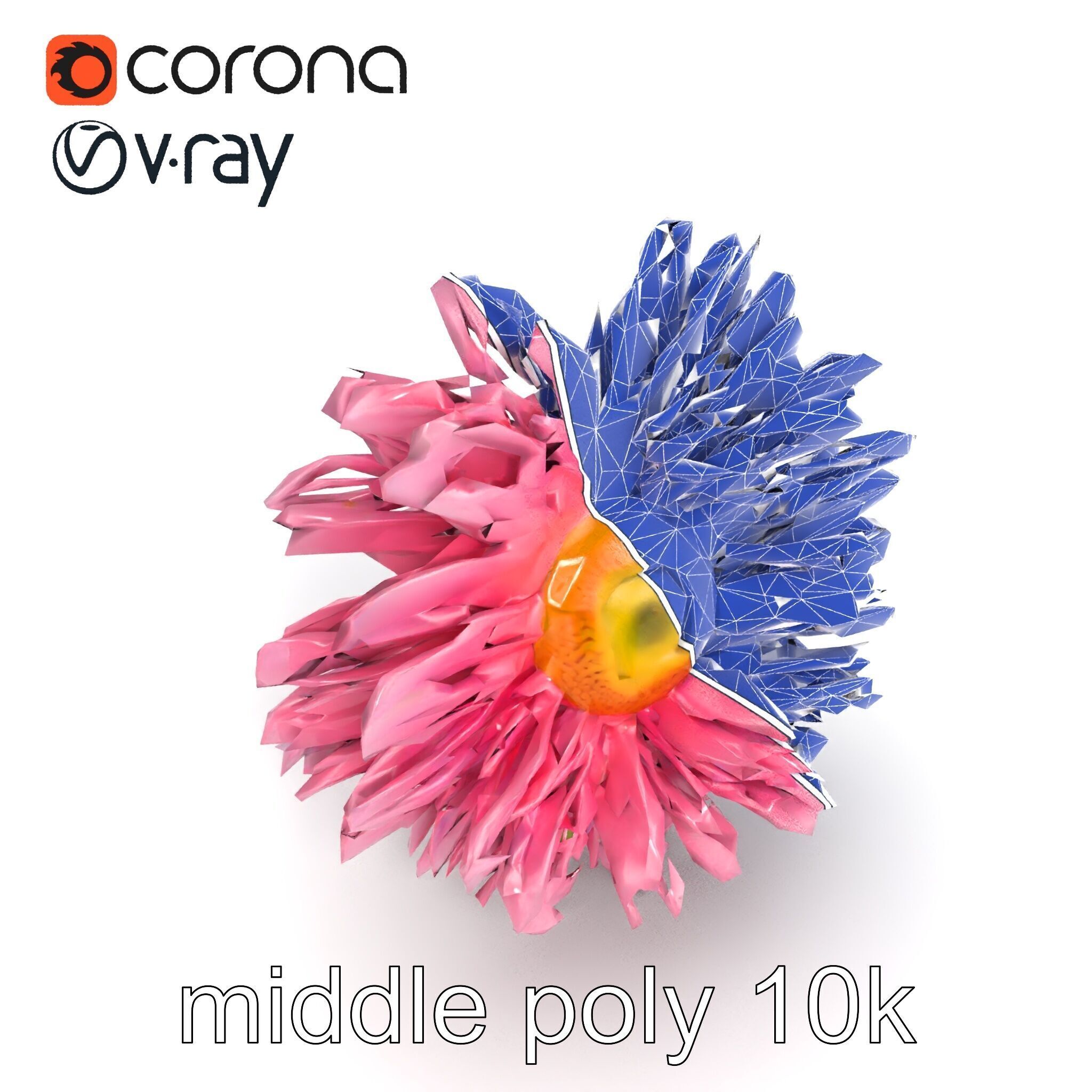 Leucanthemum Pink Blossom Render model pack Low-poly 3D model_23