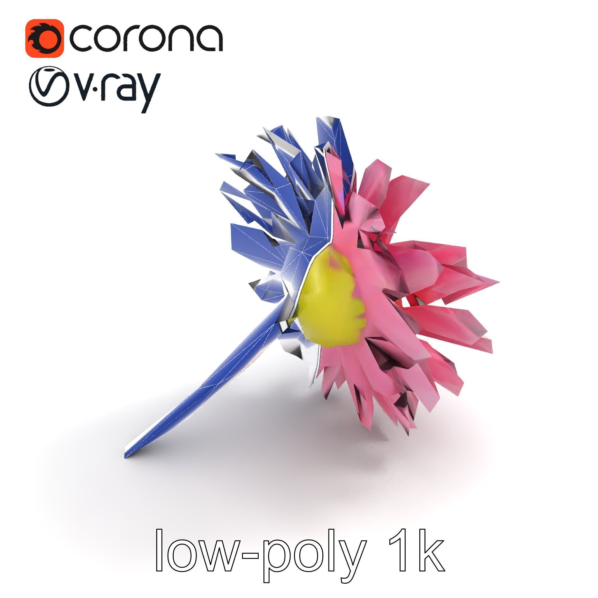 Leucanthemum Pink Blossom Render model pack Low-poly 3D model_11