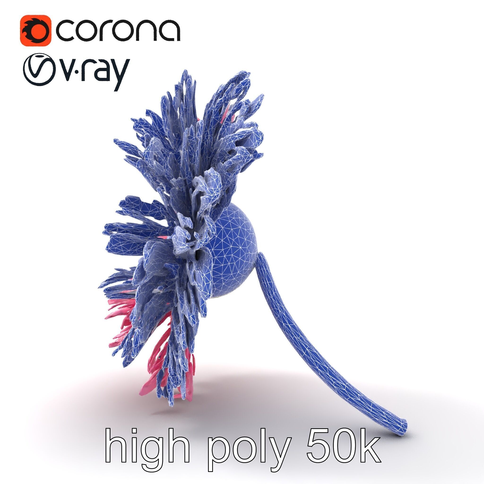 Leucanthemum Pink Blossom Render model pack Low-poly 3D model_20