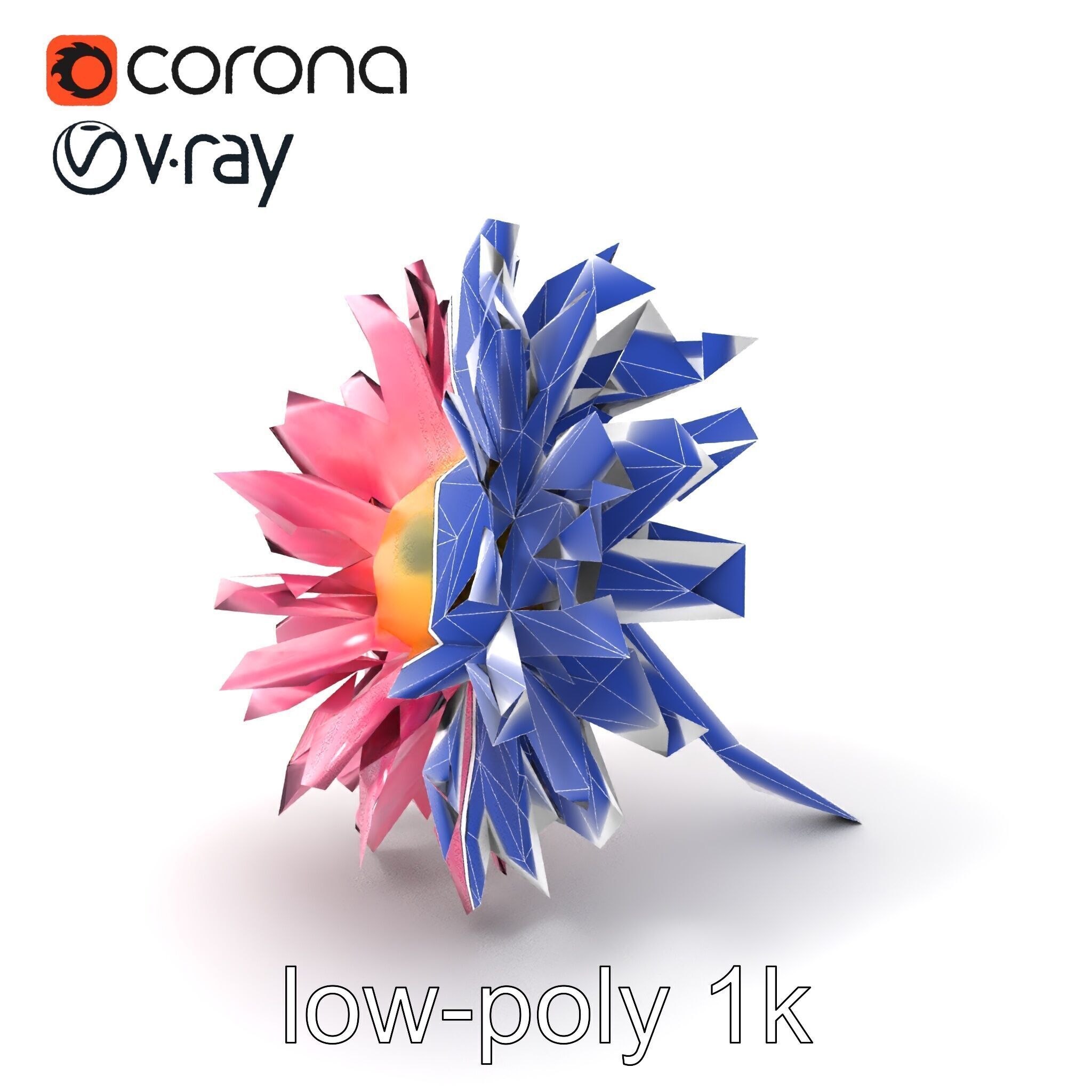 Leucanthemum Pink Blossom Render model pack Low-poly 3D model_7