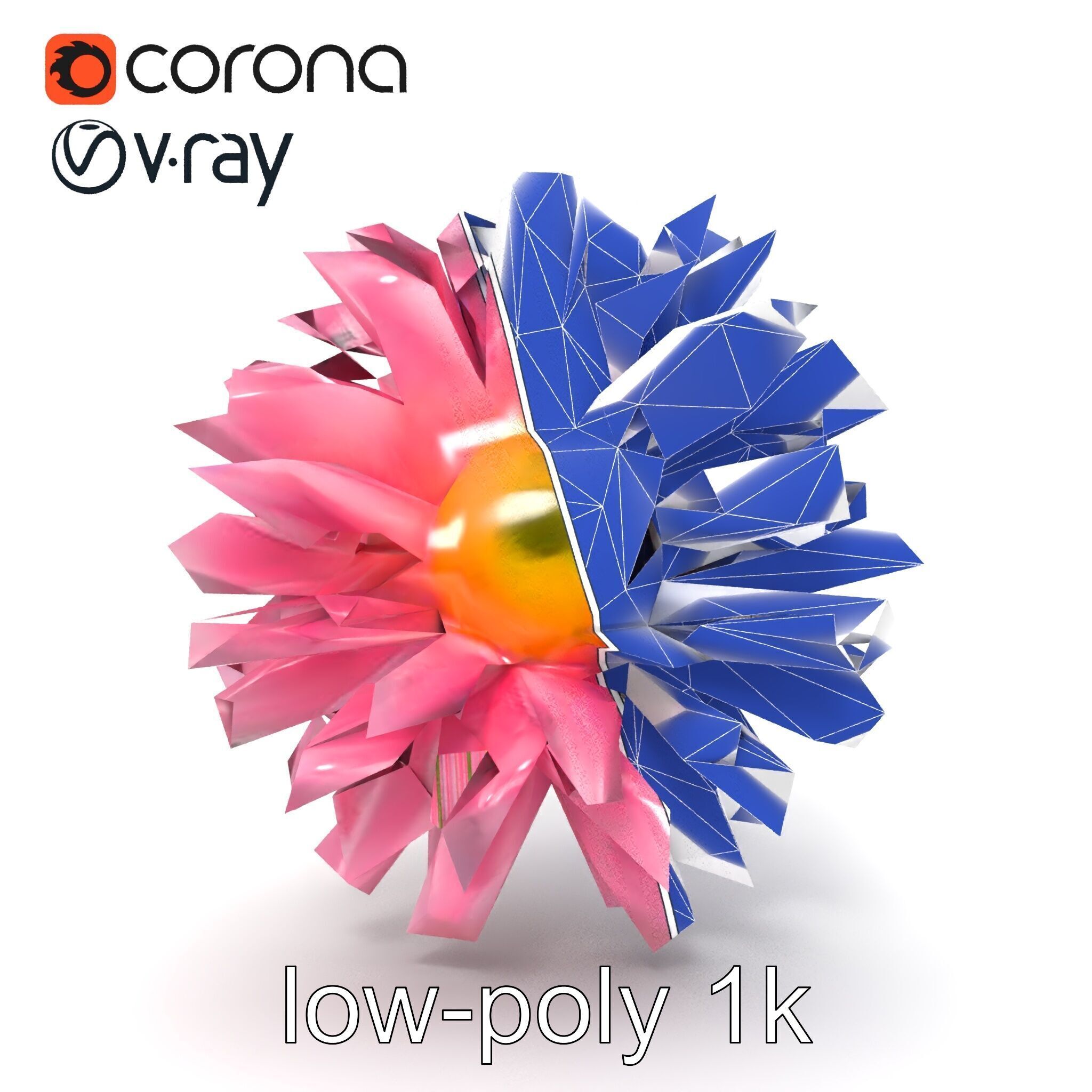 Leucanthemum Pink Blossom Render model pack Low-poly 3D model_18